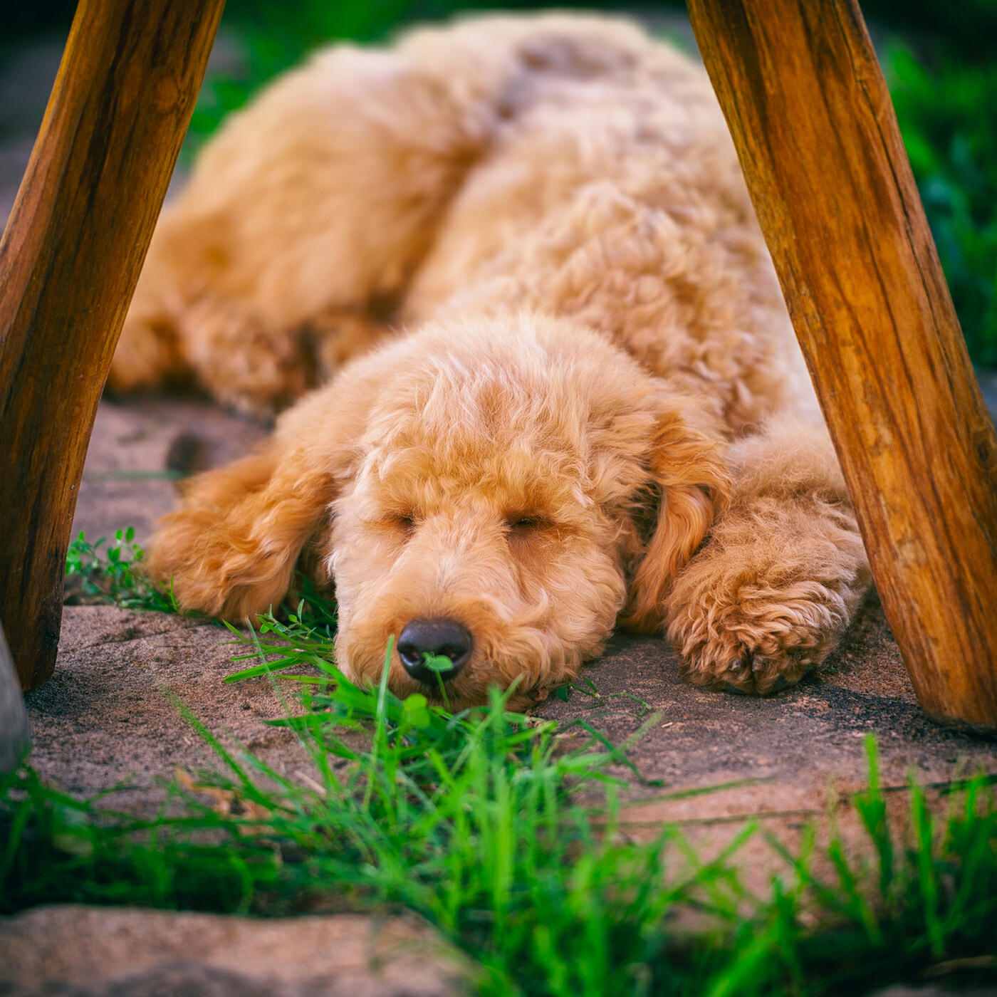 Релиз Sleeping Well