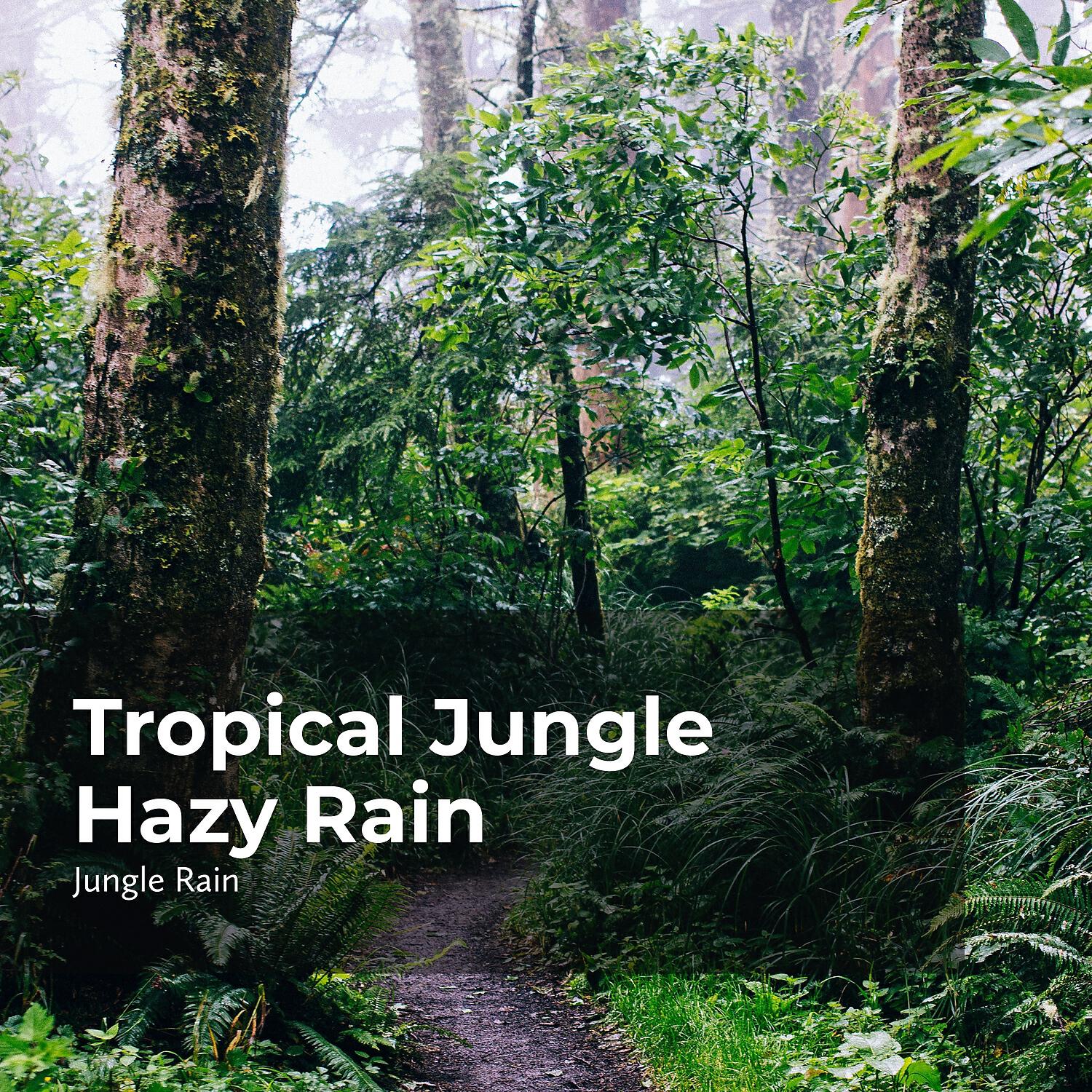 Релиз Tropical Jungle Hazy Rain