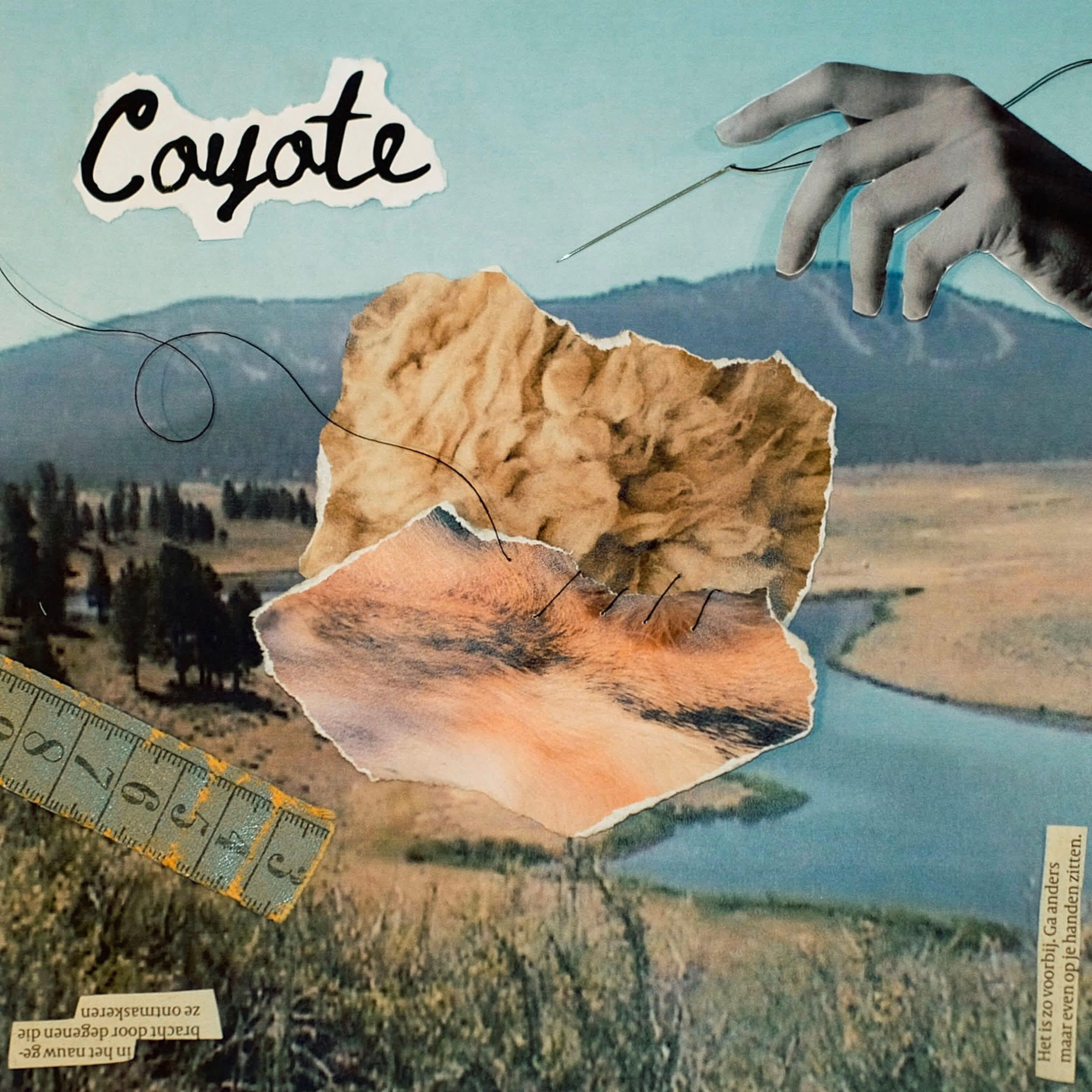 Релиз Coyote
