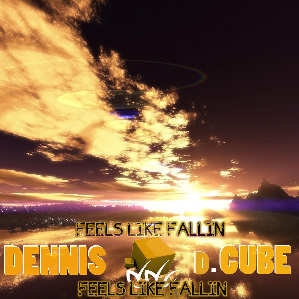 Постер альбома Feels Like Fallin