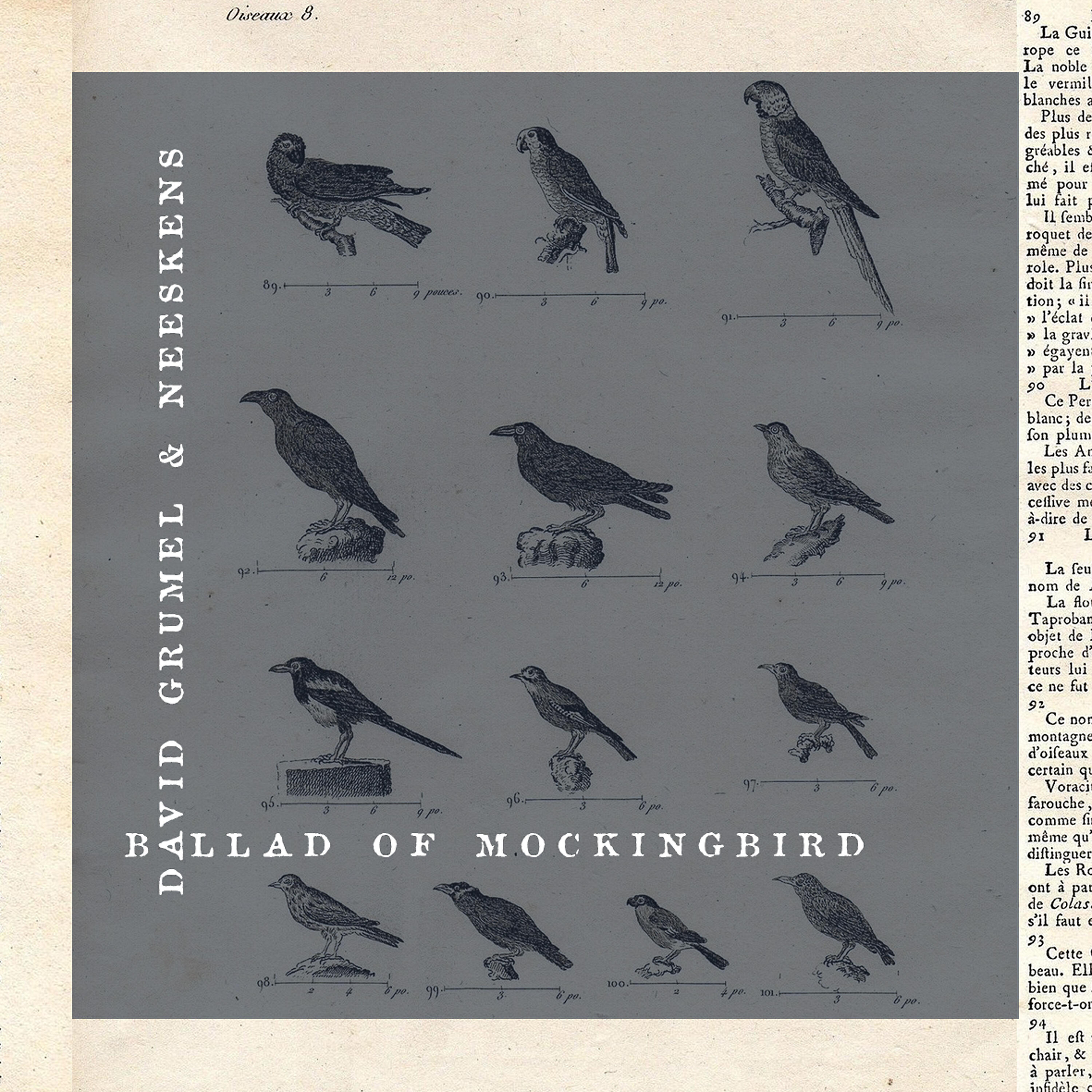 Релиз Ballad of Mockingbird
