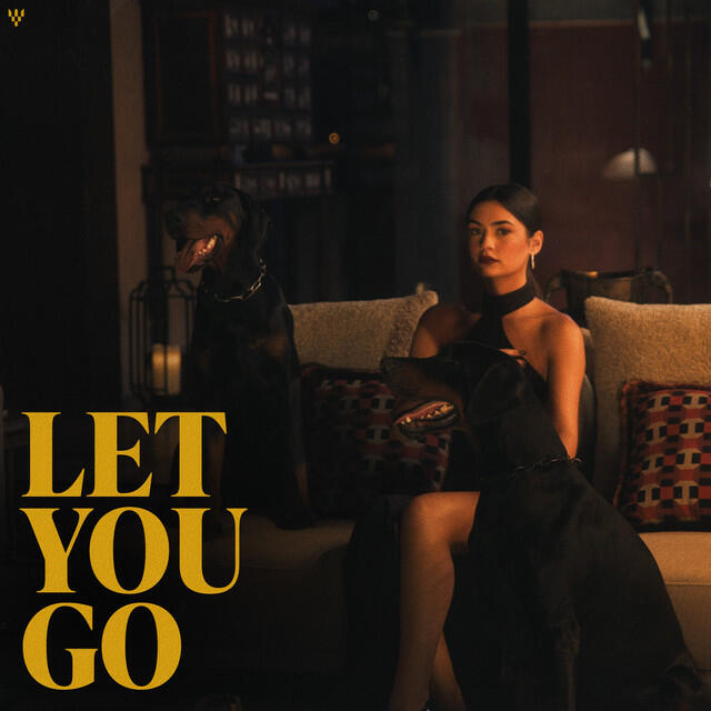 Релиз Let You Go
