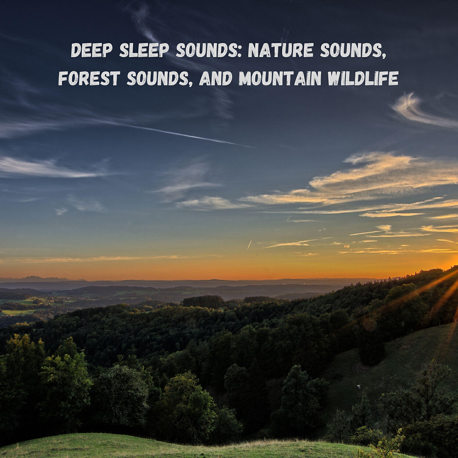 Nature Recordings & Solfeggio Healing Frequencies MT & Calm Music - Meditative state