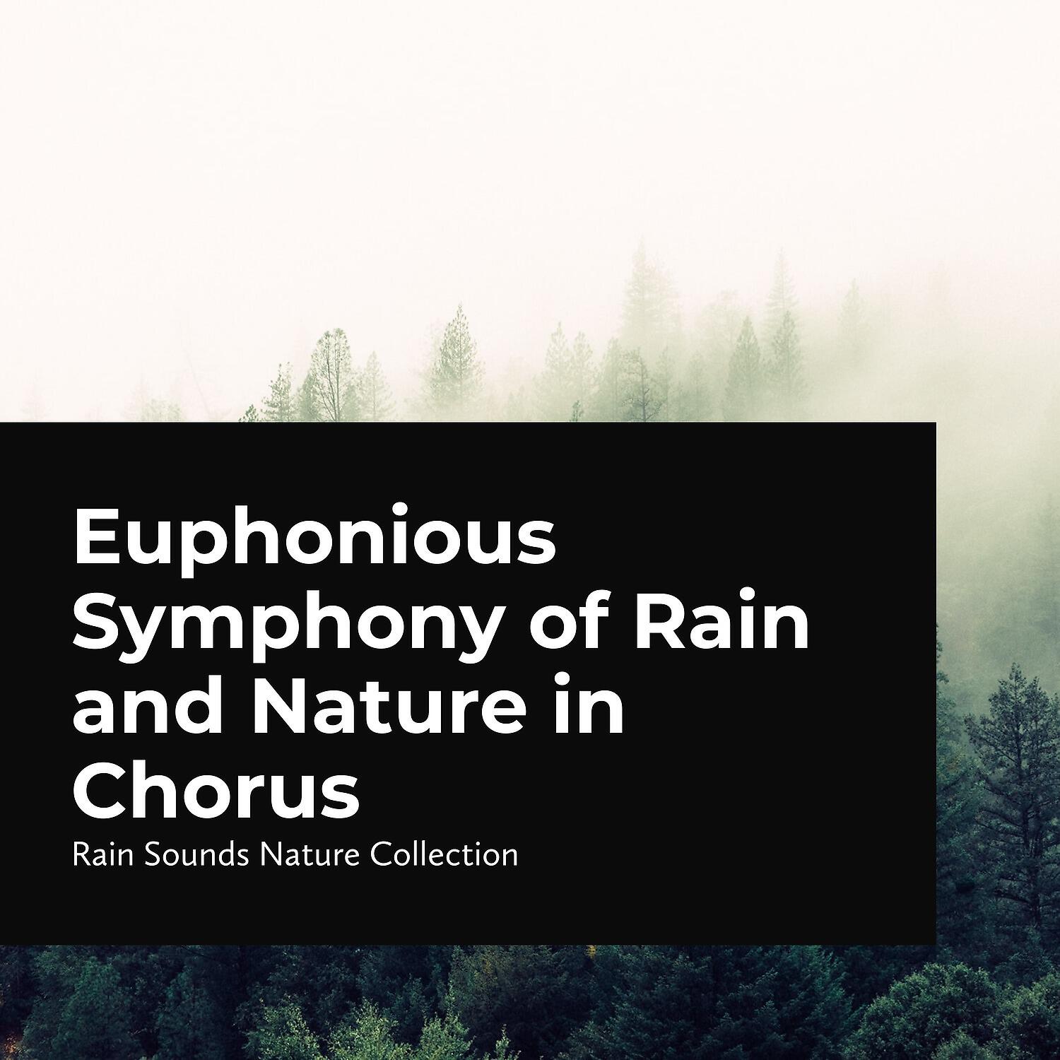 Релиз Euphonious Symphony of Rain and Nature in Chorus