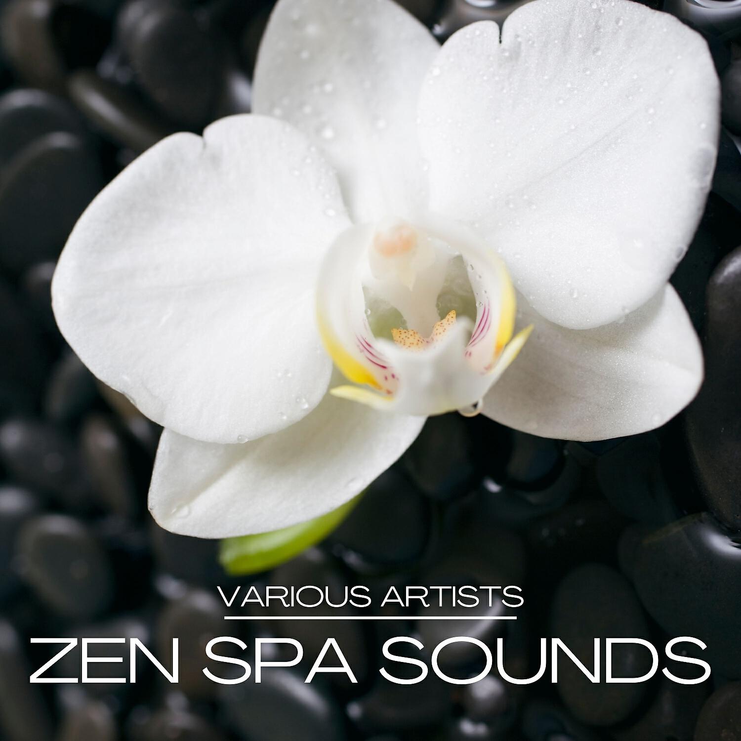 Релиз Zen Spa Sounds