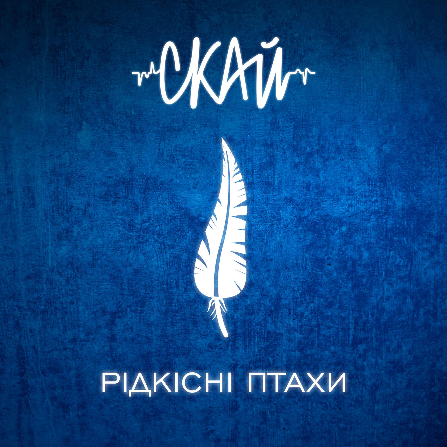 Релиз Рідкісні Птахи