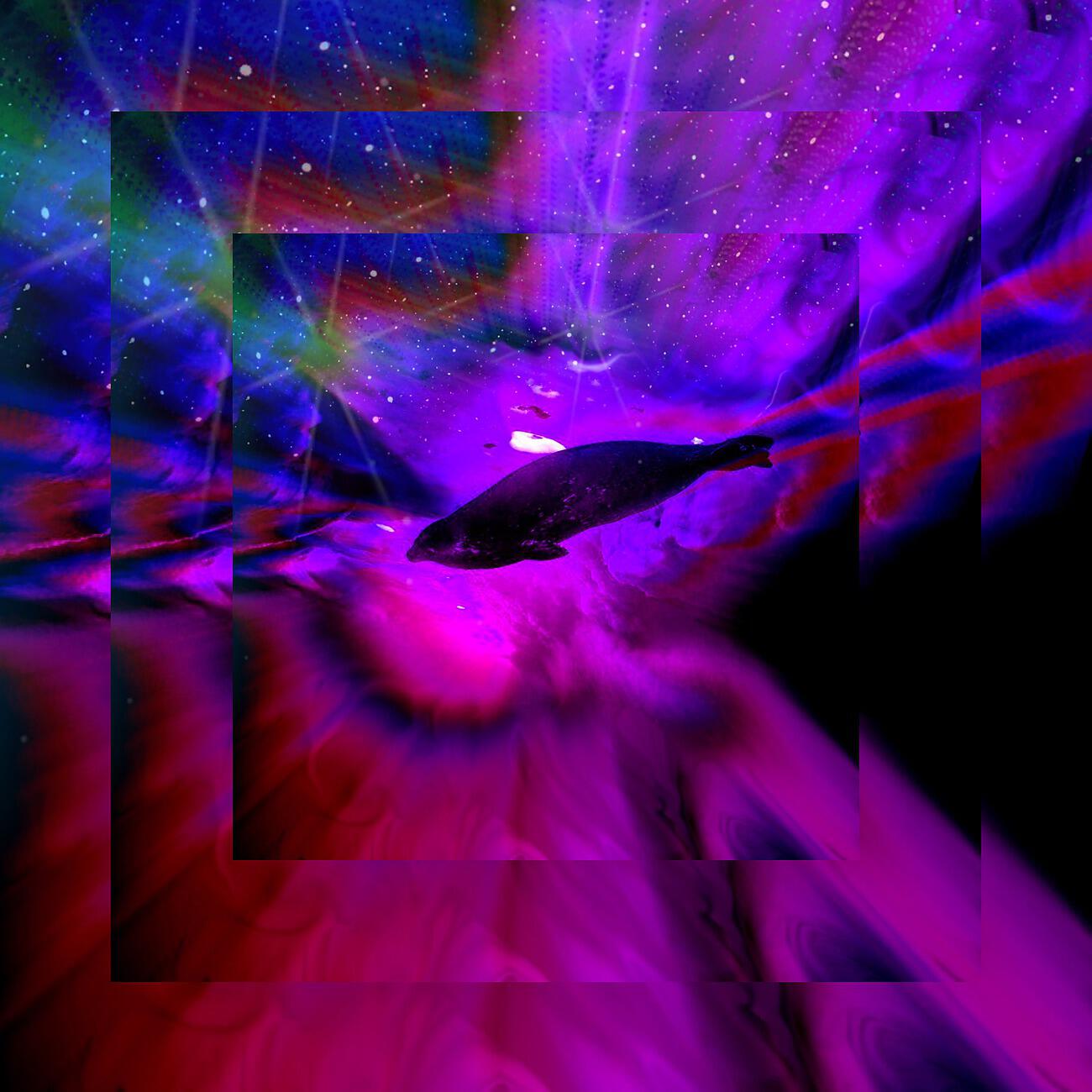 Релиз Night Break