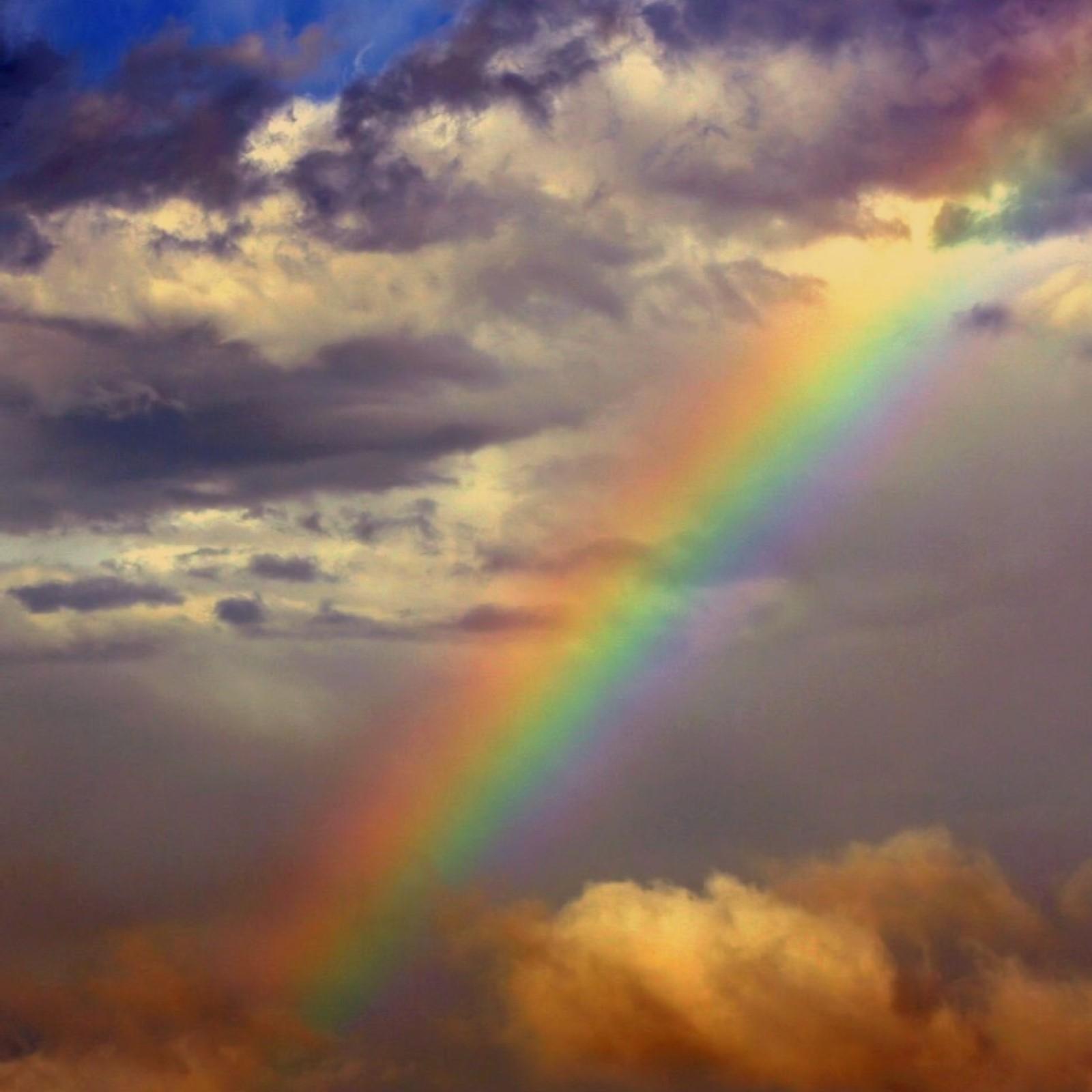 Релиз Rainbow Connection