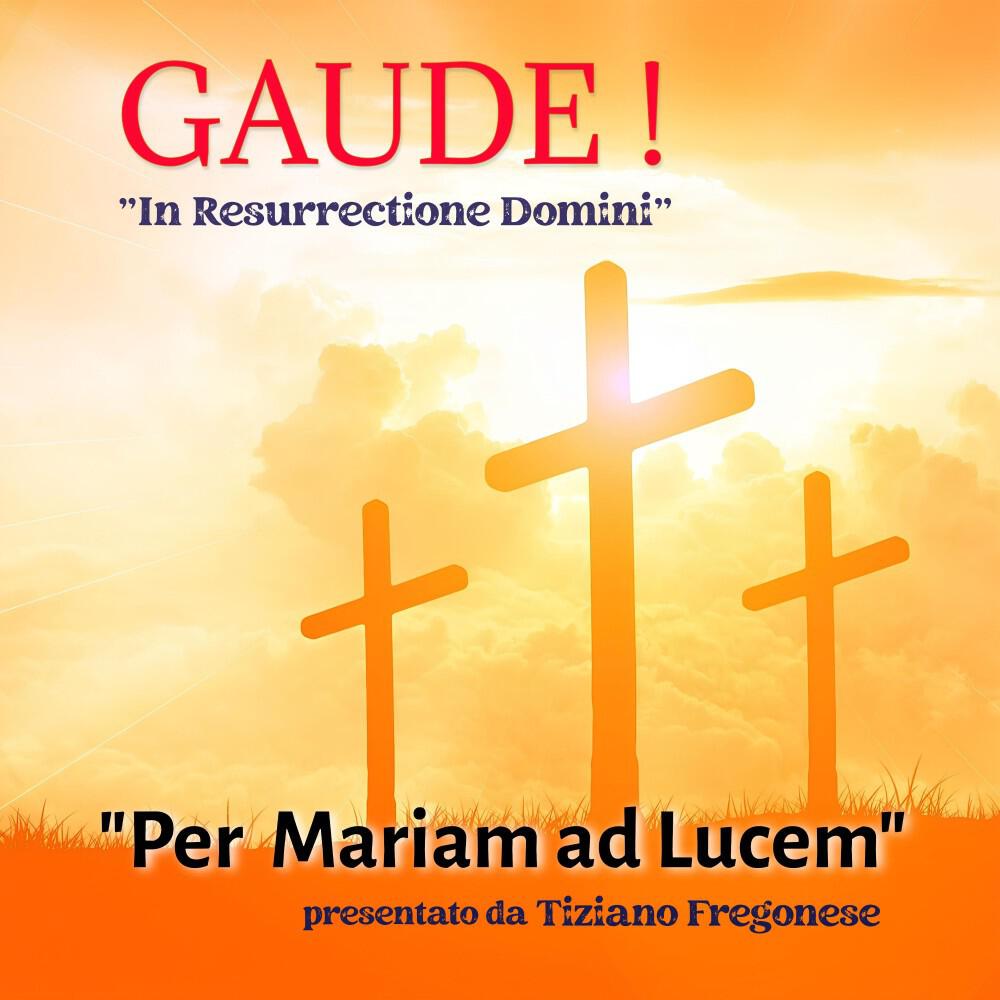 Релиз Gaude !