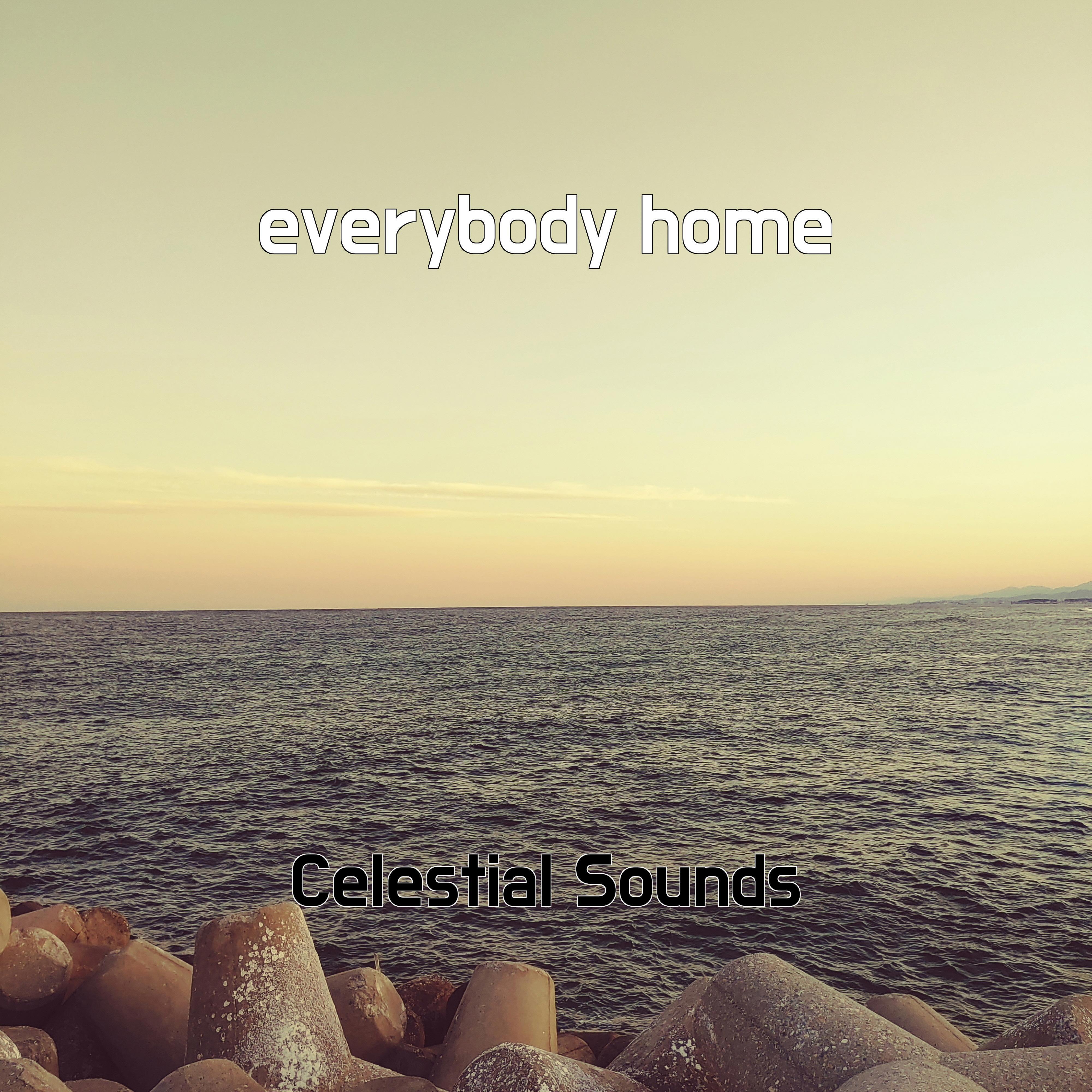 Релиз everybody home
