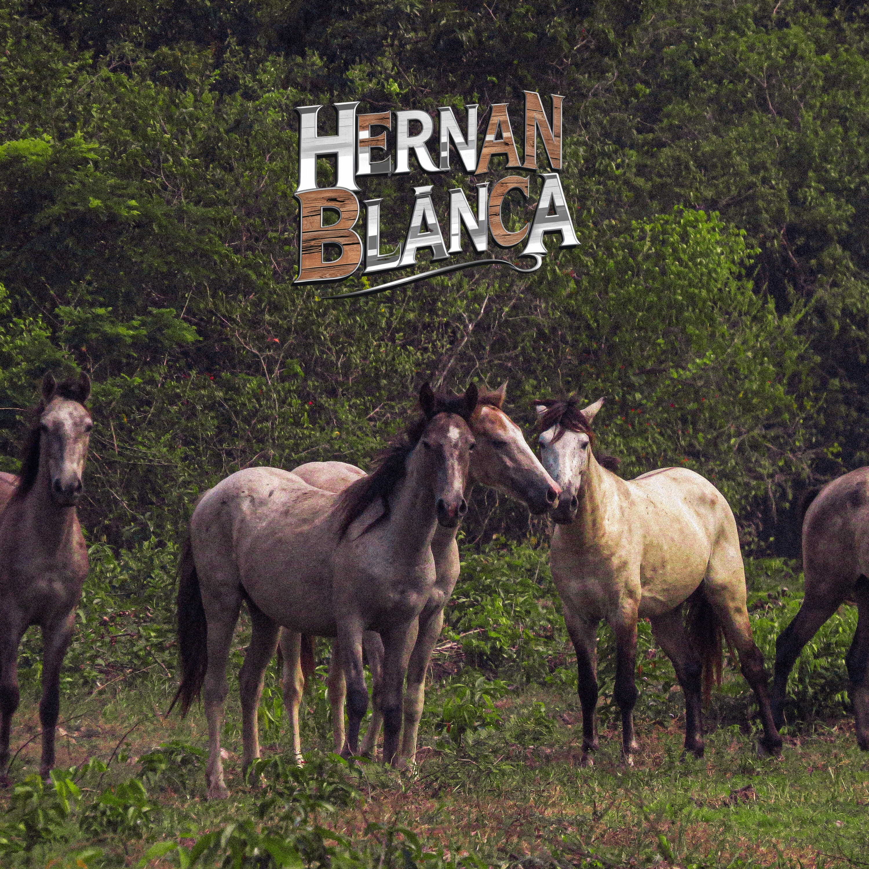 Hernan Blanca
