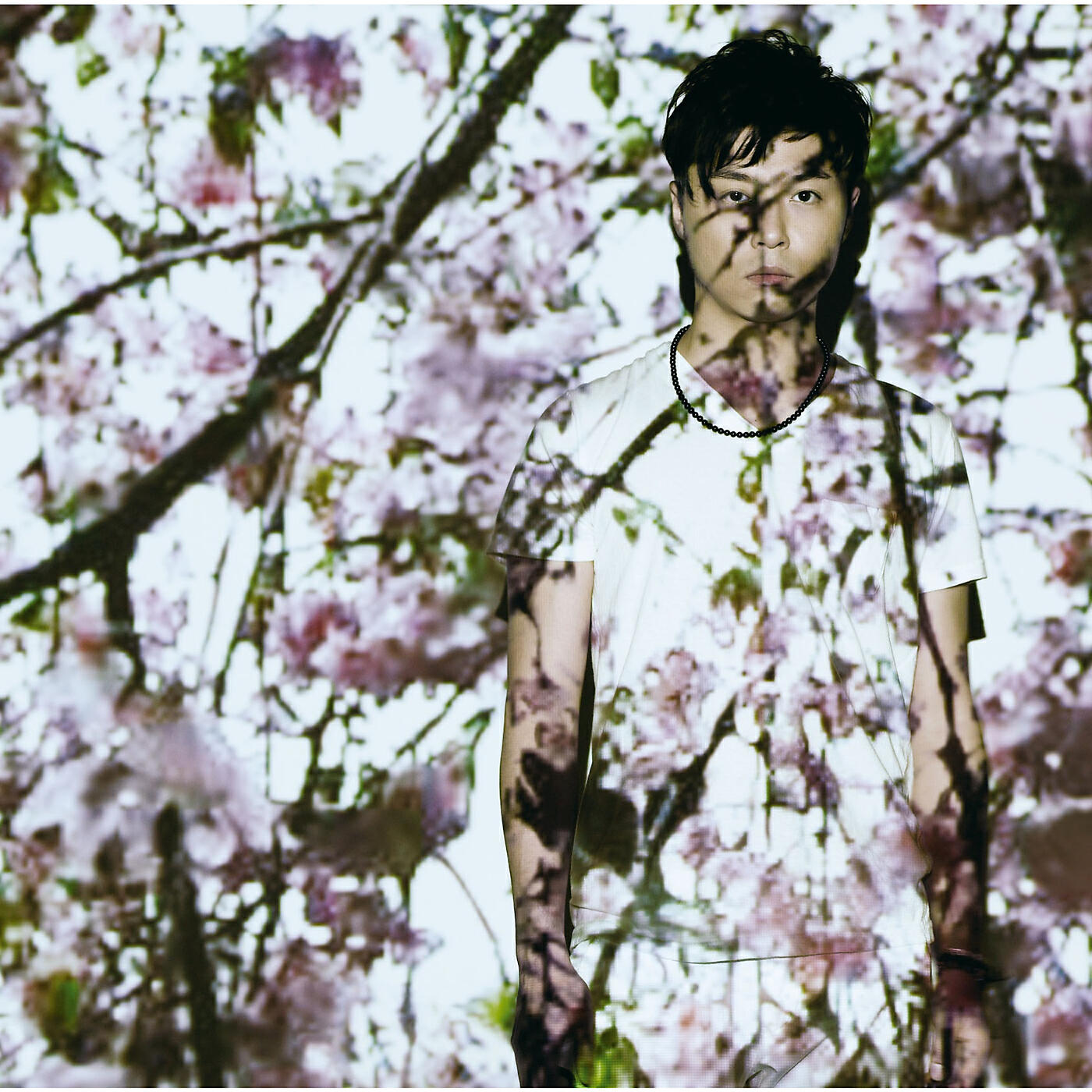 Релиз Sky - Our Beautiful Sky