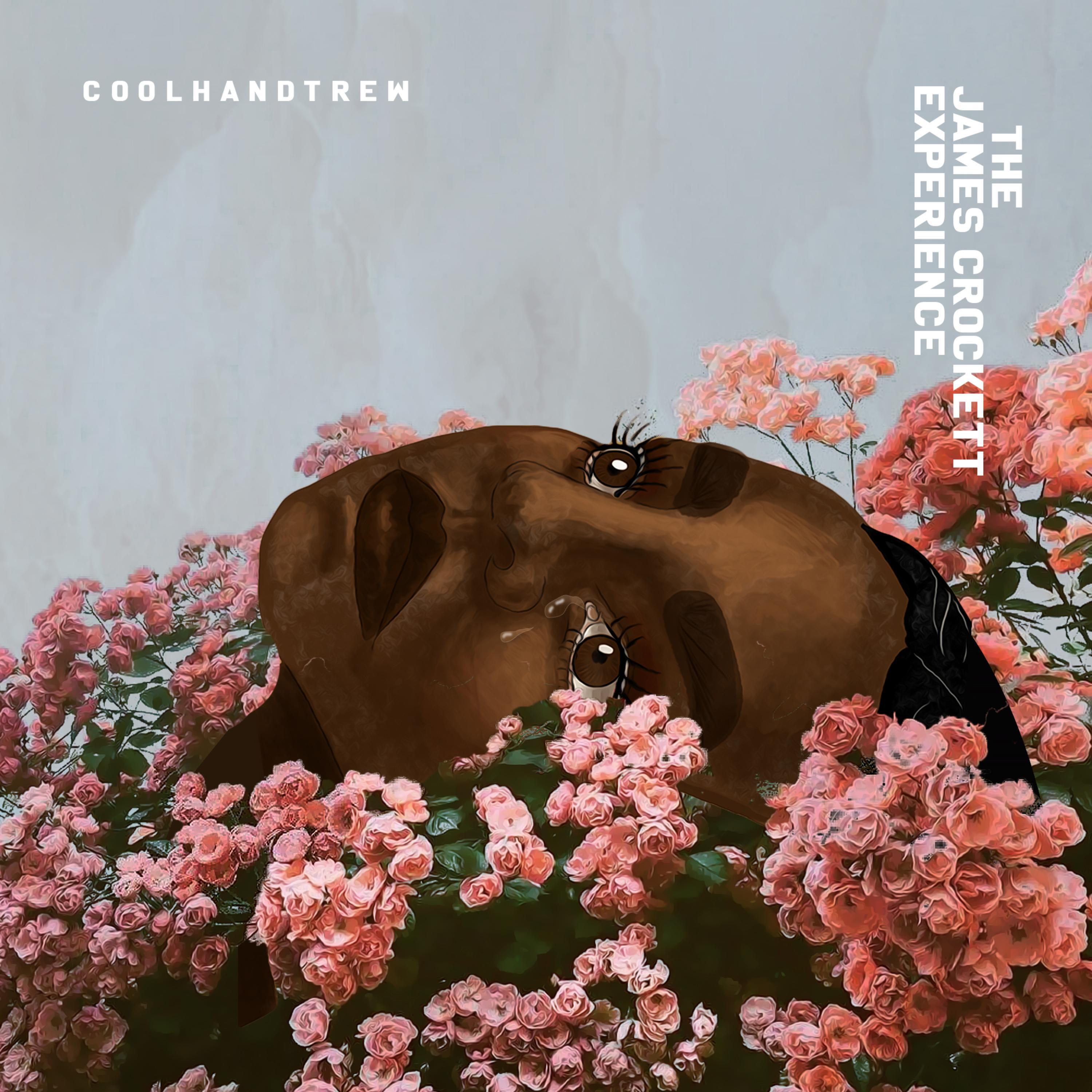 Релиз The James Crockett Experience