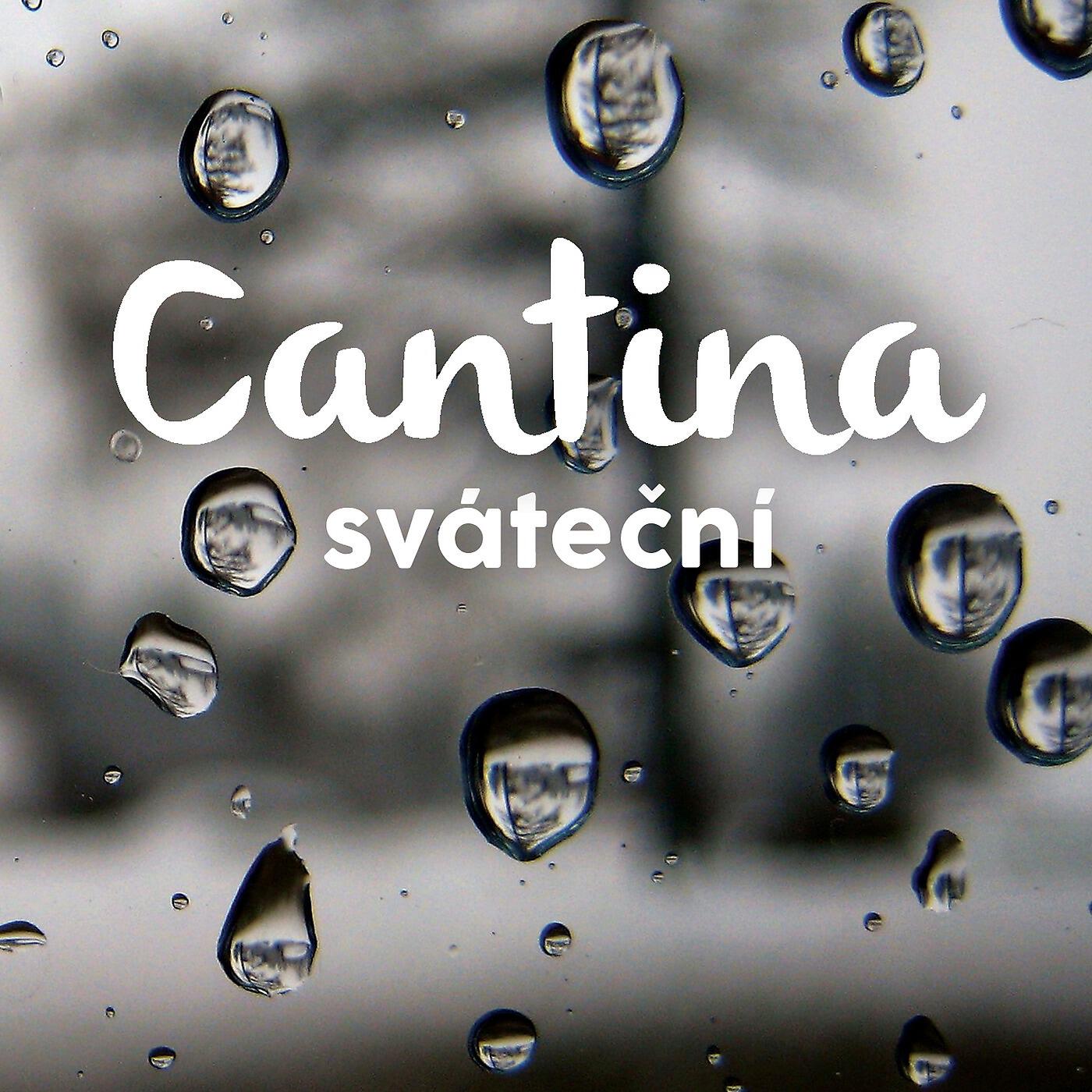 Постер альбома Svatecni