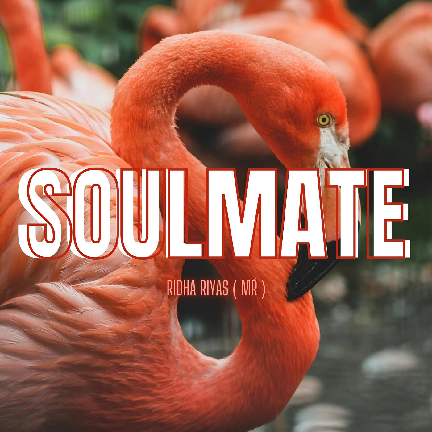 Релиз Soulmate