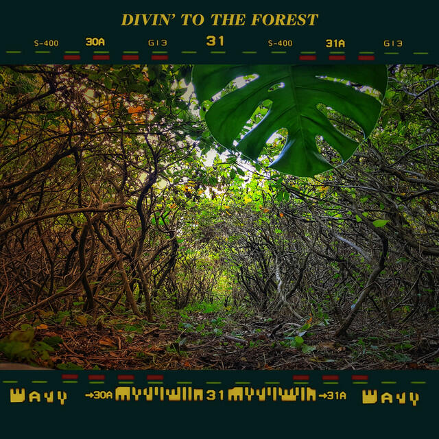 Релиз Divin' To The Forest