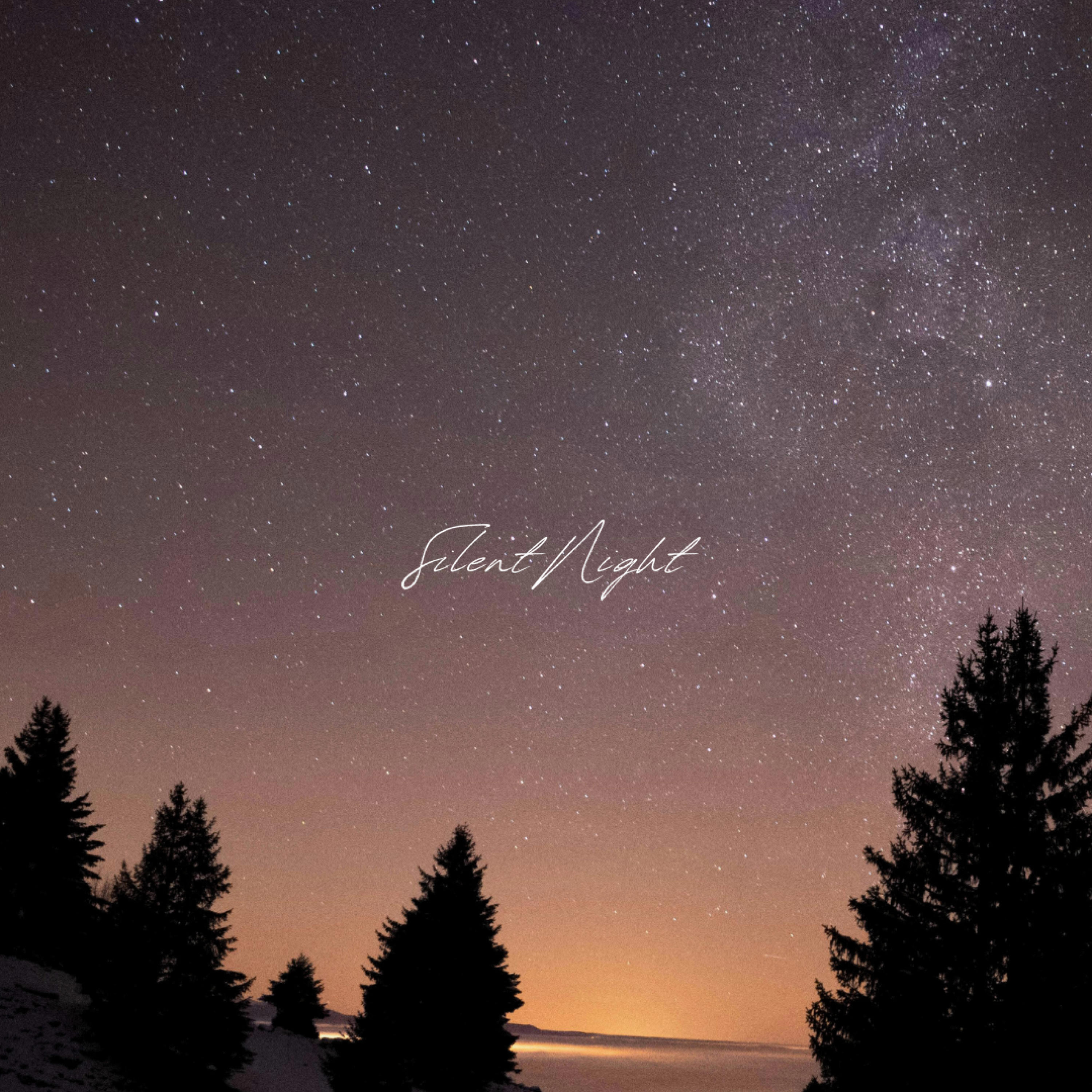 Релиз Silent Night