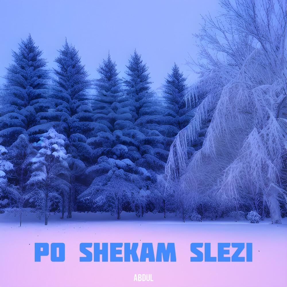 Релиз Po Shekam Slezi