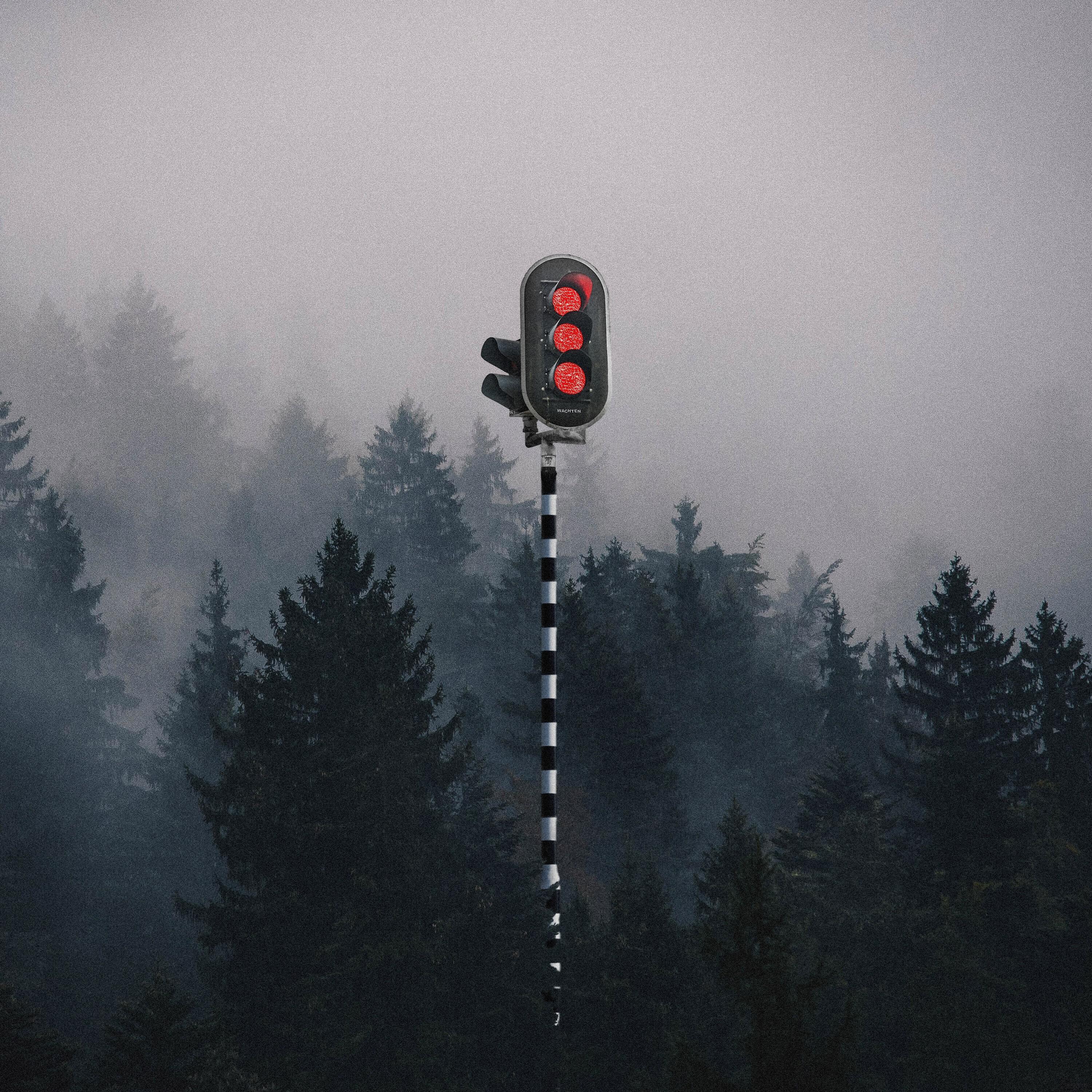 Релиз Wachten