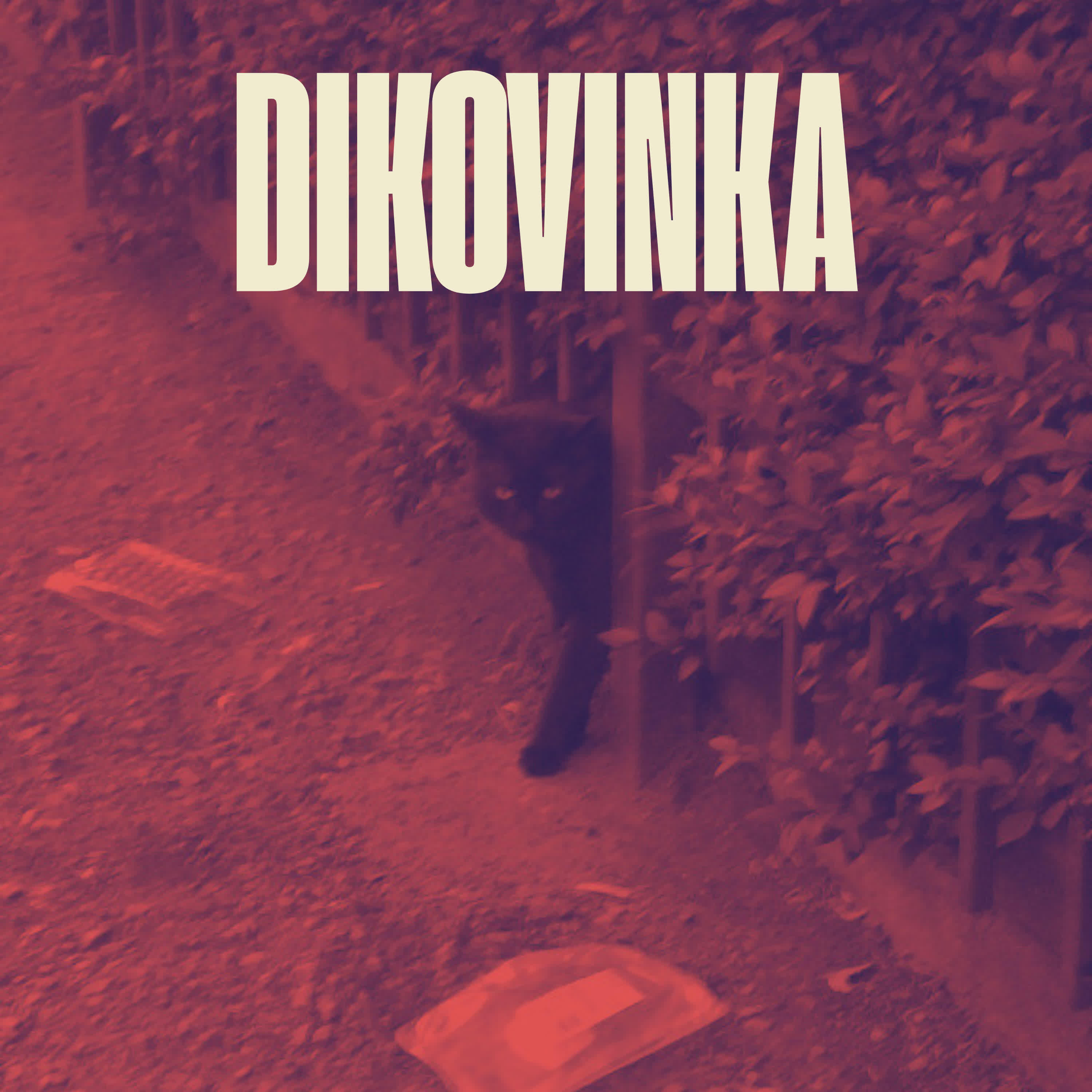Релиз B.L.I.N.I