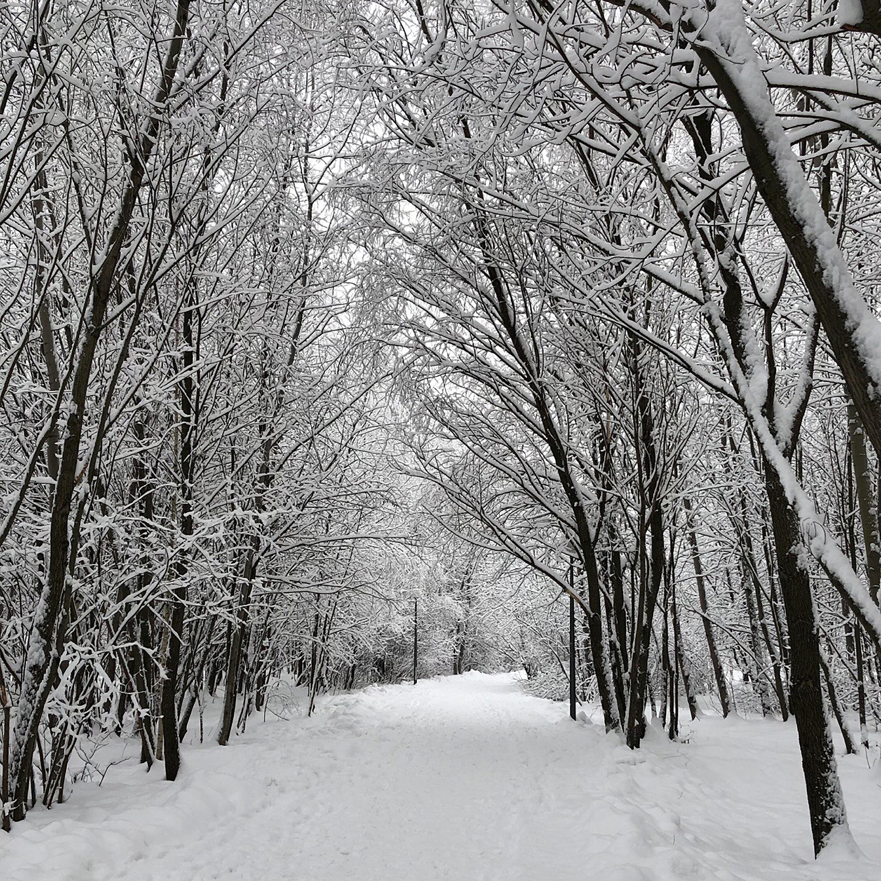 Релиз Blues and Lovely Muse (Take 3)