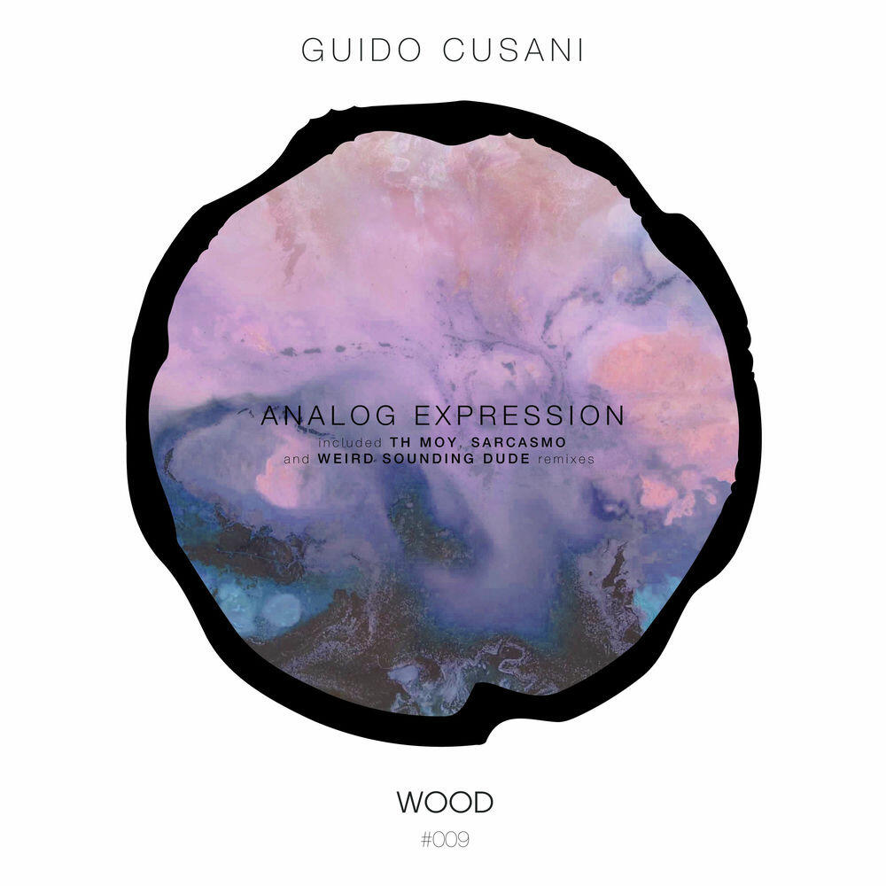 Релиз Analog Expression