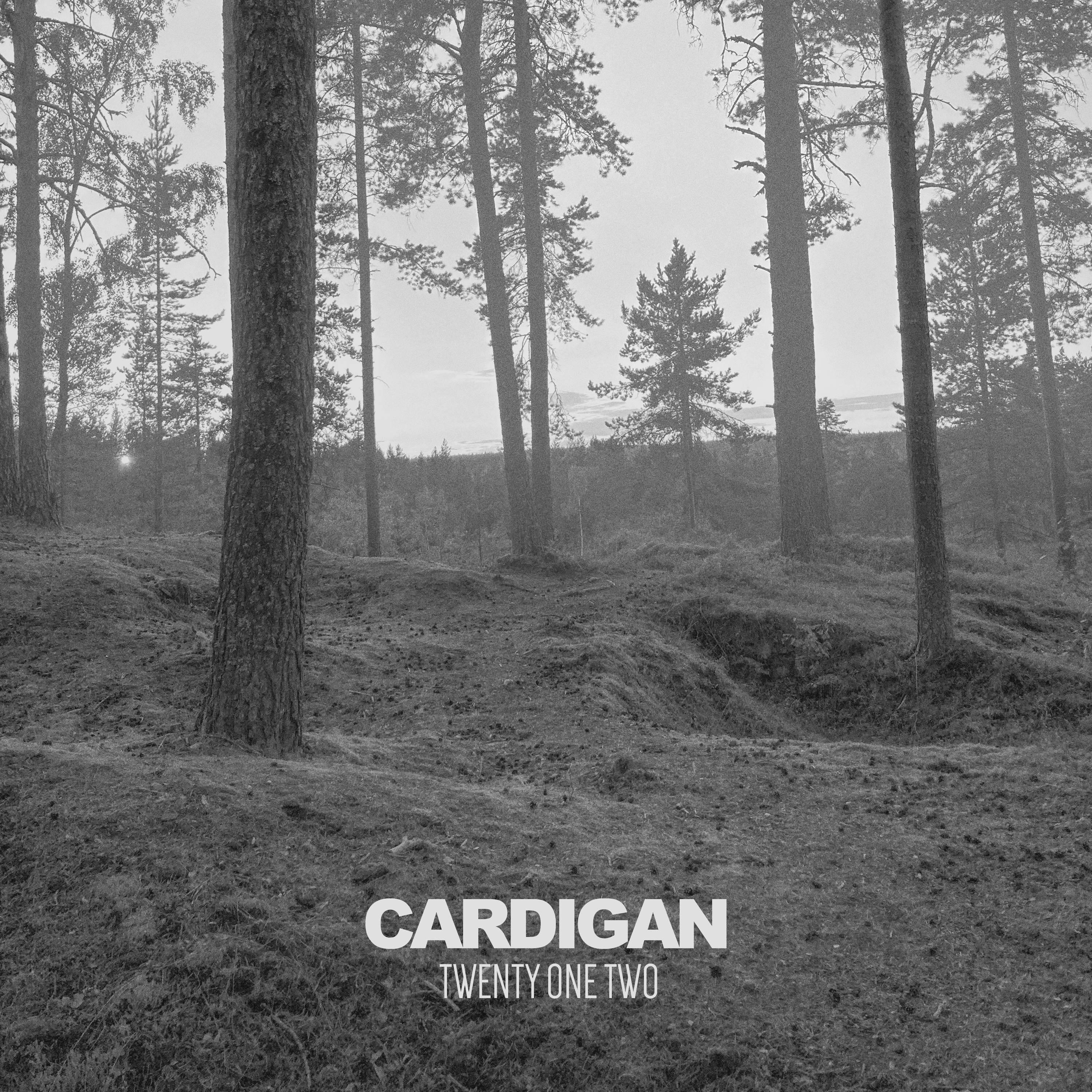 Релиз Cardigan