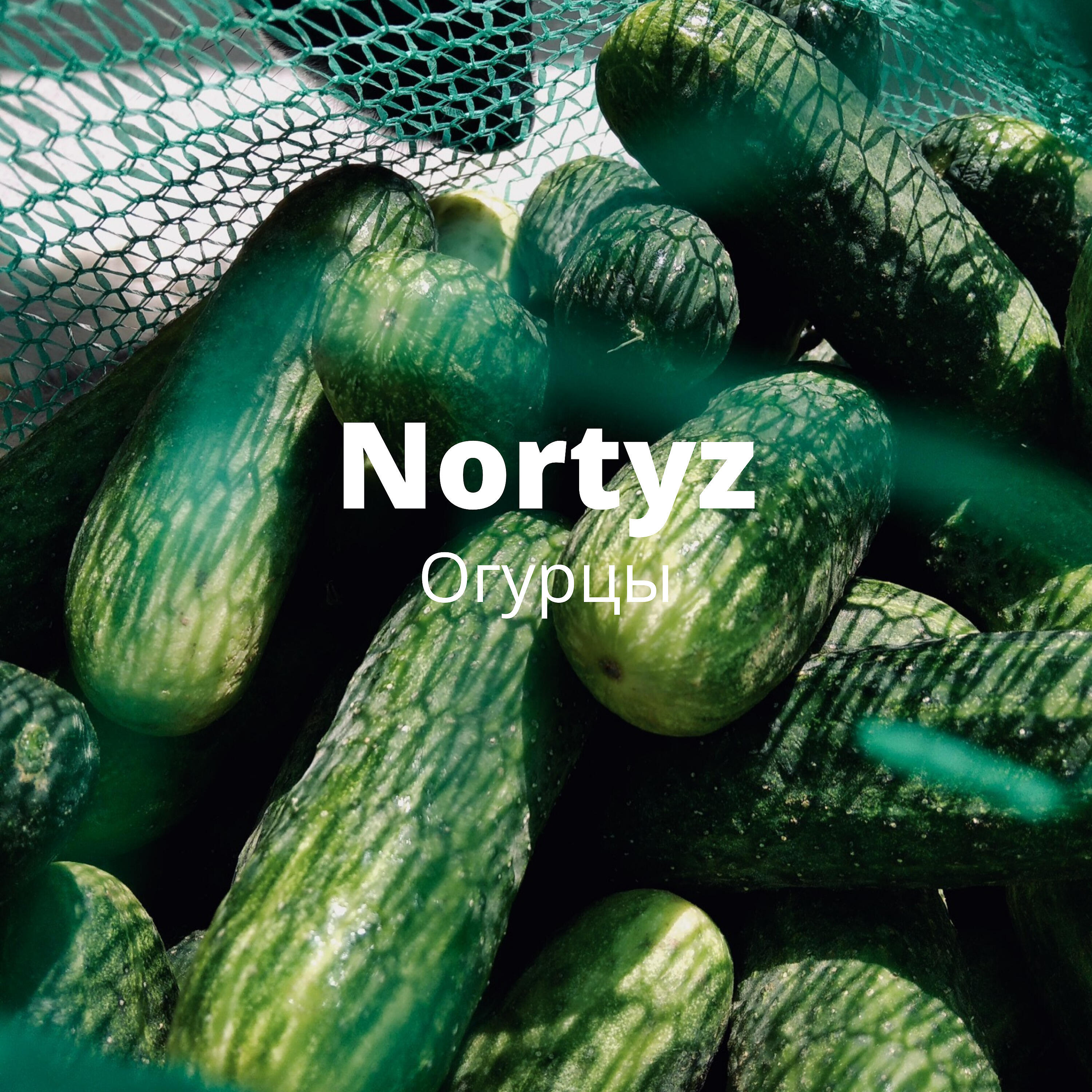 Релиз Огурцы