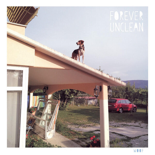Релиз Woof