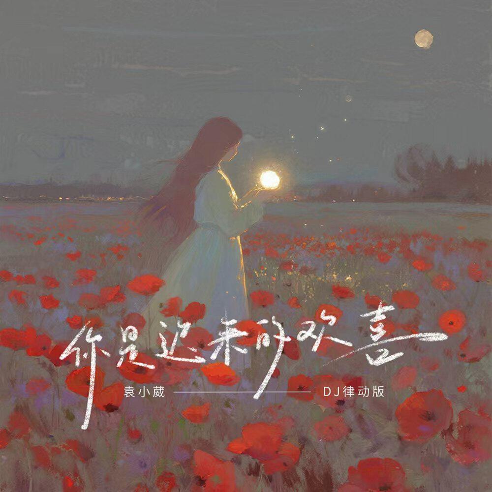 Релиз 你是迟来的欢喜