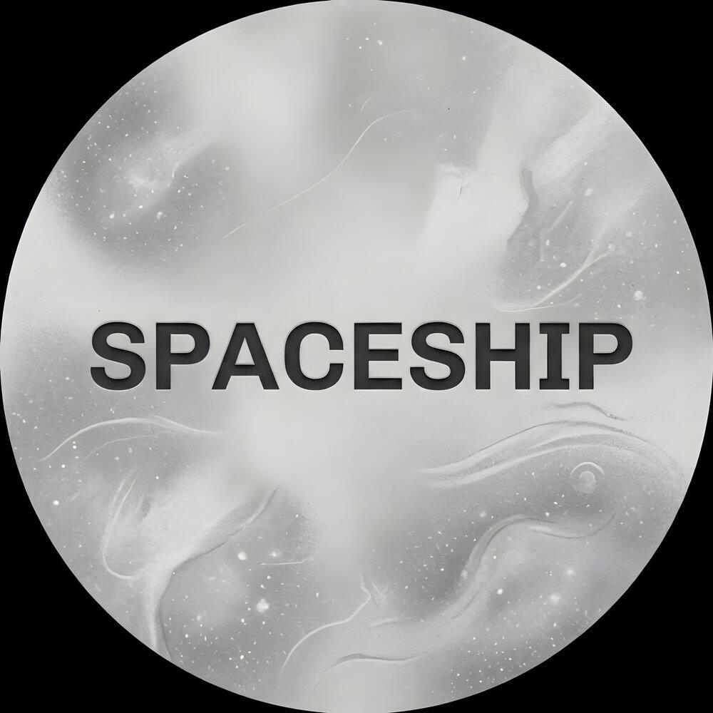 Трек Spaceship (Da Trash Remix)