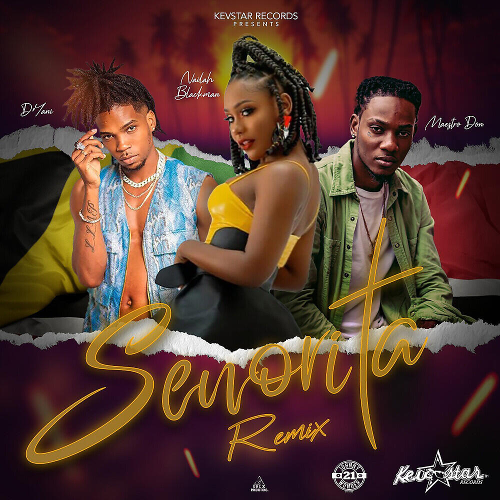 Скачать песню Dyani, Maestro Don, Nailah Blackman - Senorita (Remix) бесплатно в MP3 для Android и iOS