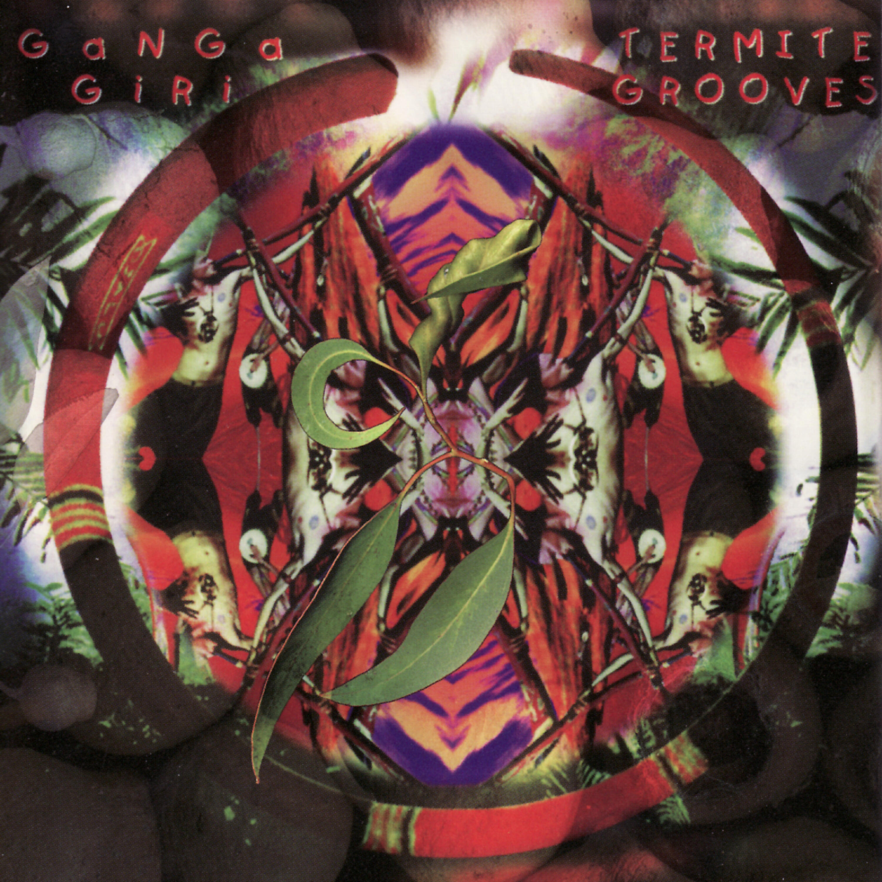Релиз Termite Grooves