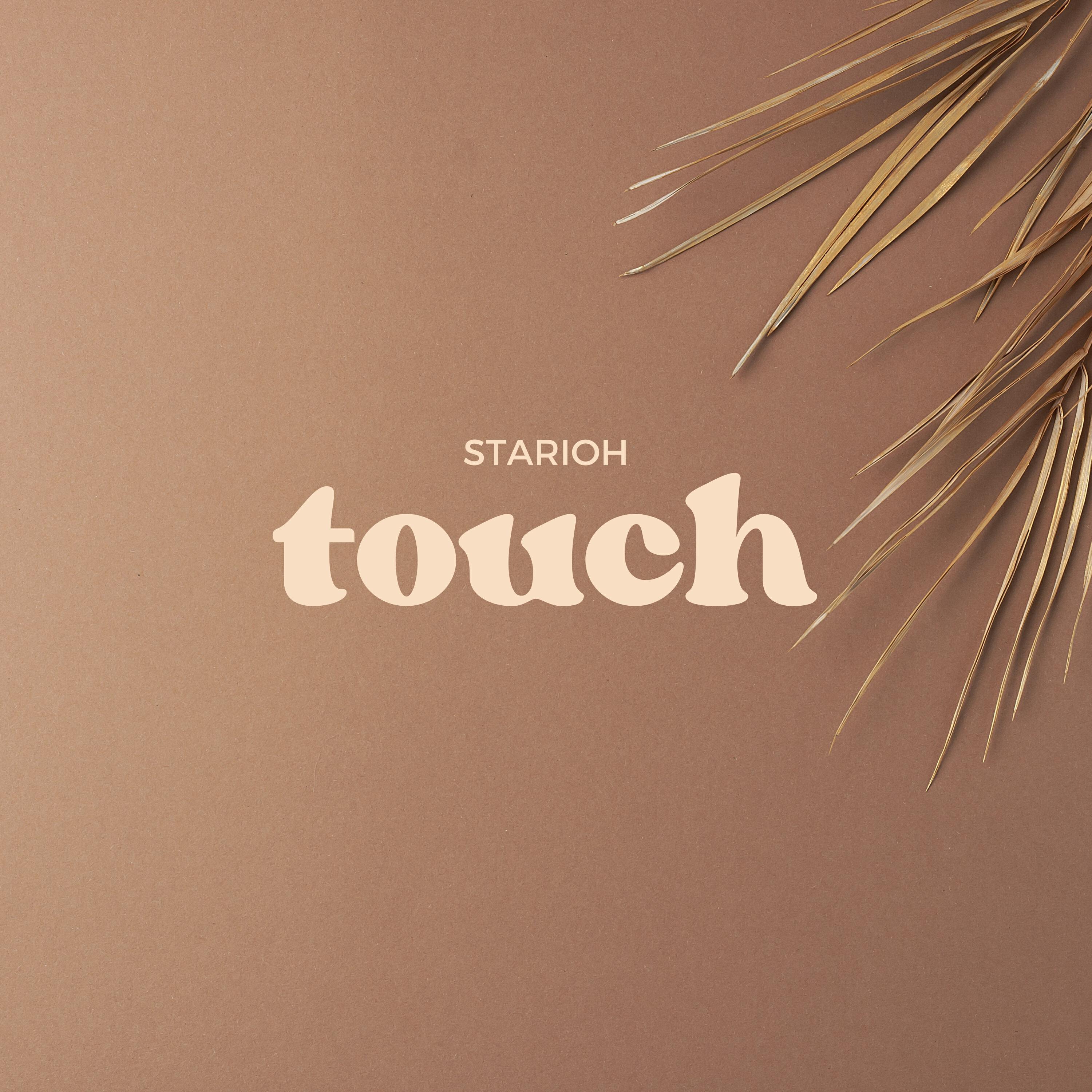 Релиз Touch
