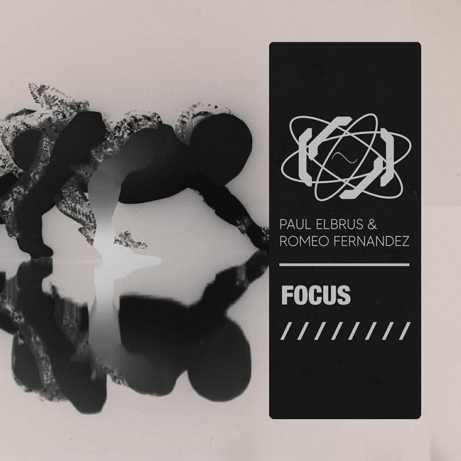 Релиз Focus