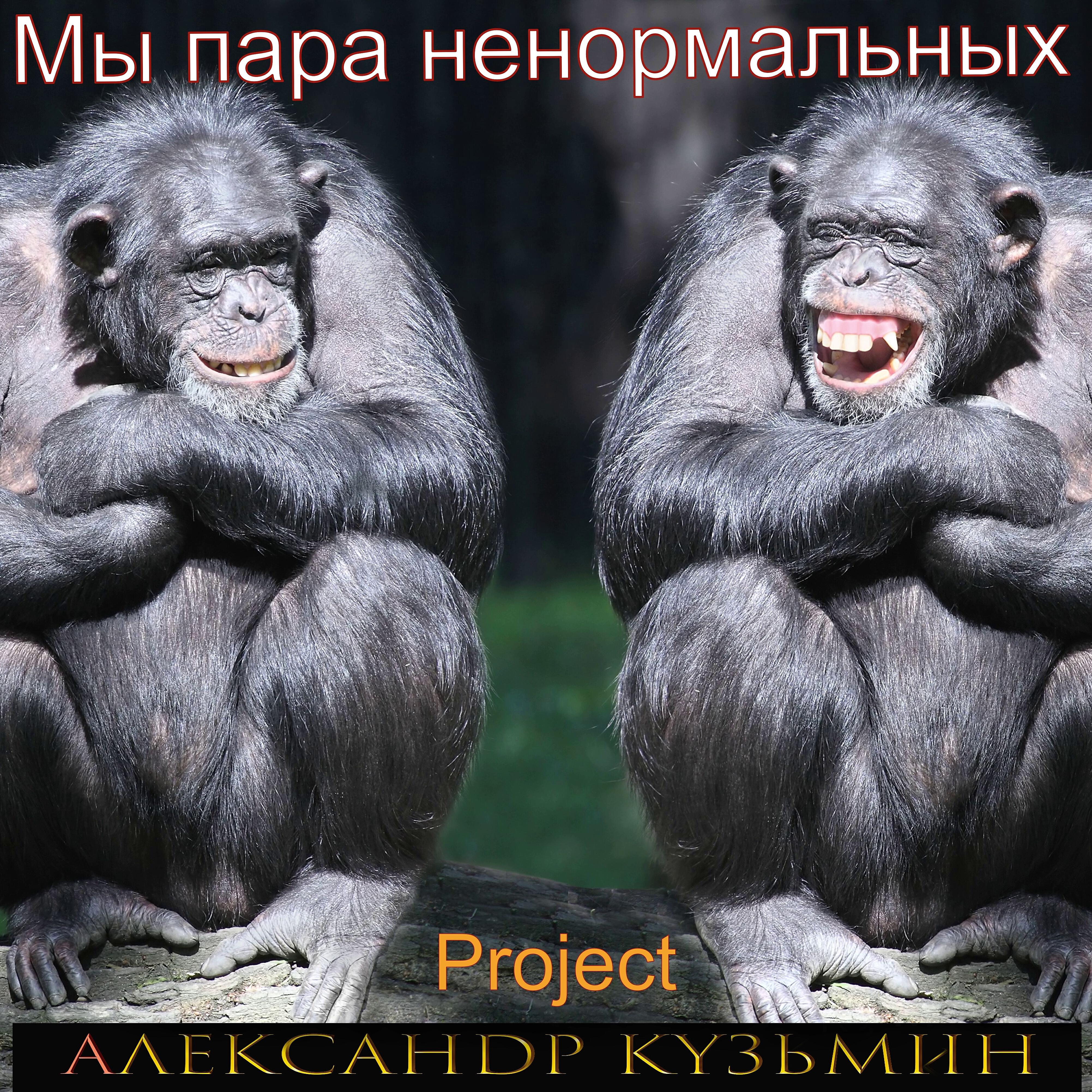 Релиз Мы пара ненормальных