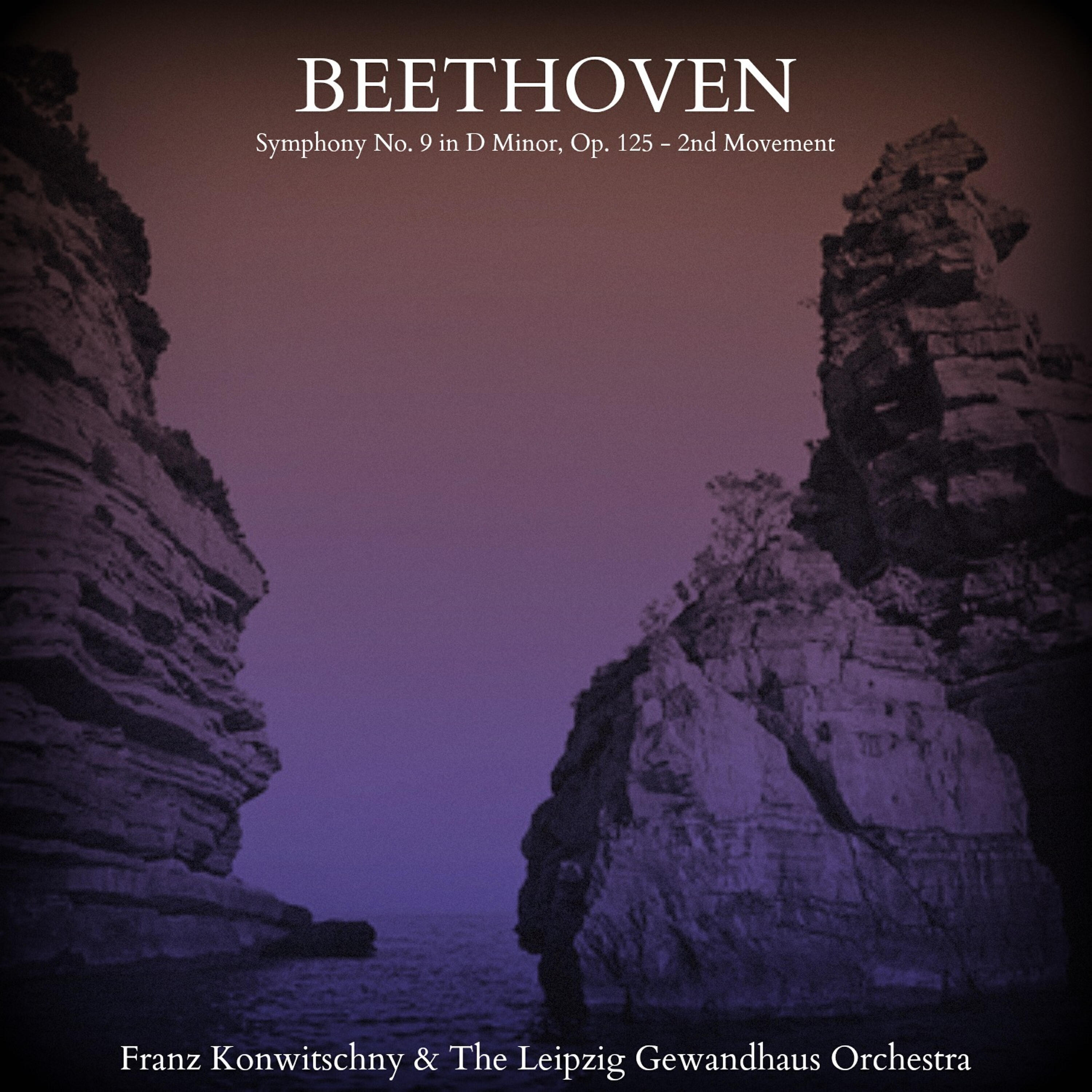 Релиз Beethoven: Symphony No. 9 in D Minor, Op. 125  - 2nd Movement