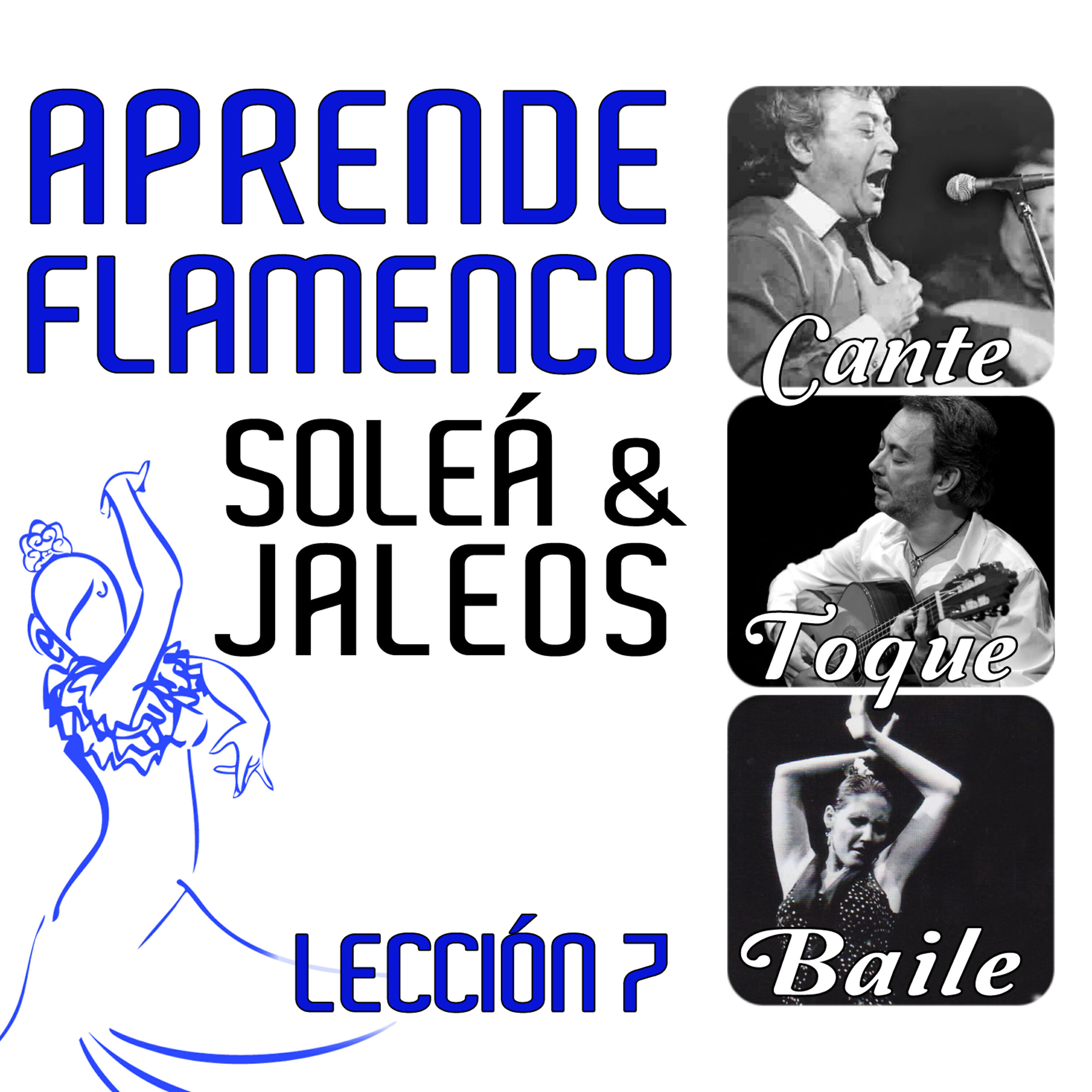 Релиз Aprende Flamenco. Soleá y Jaleos. Lección 7