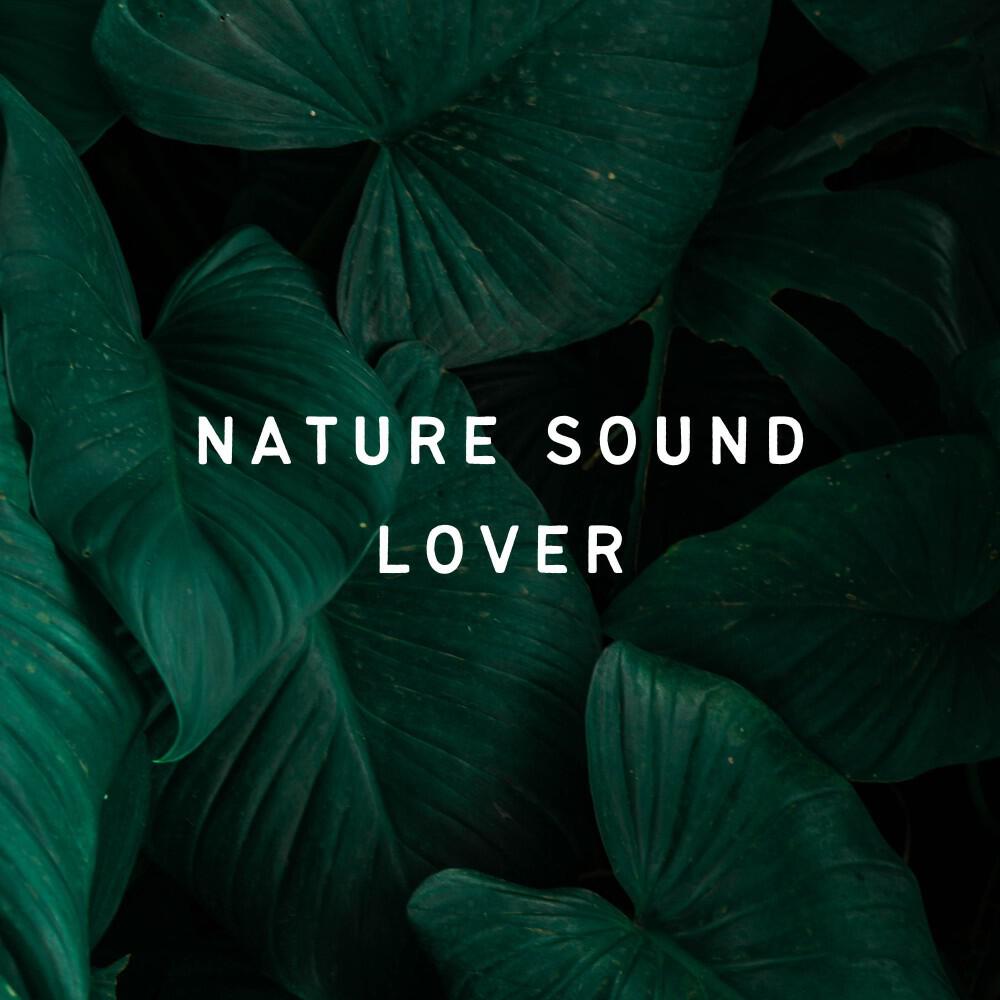 Релиз Nature Sound Lover