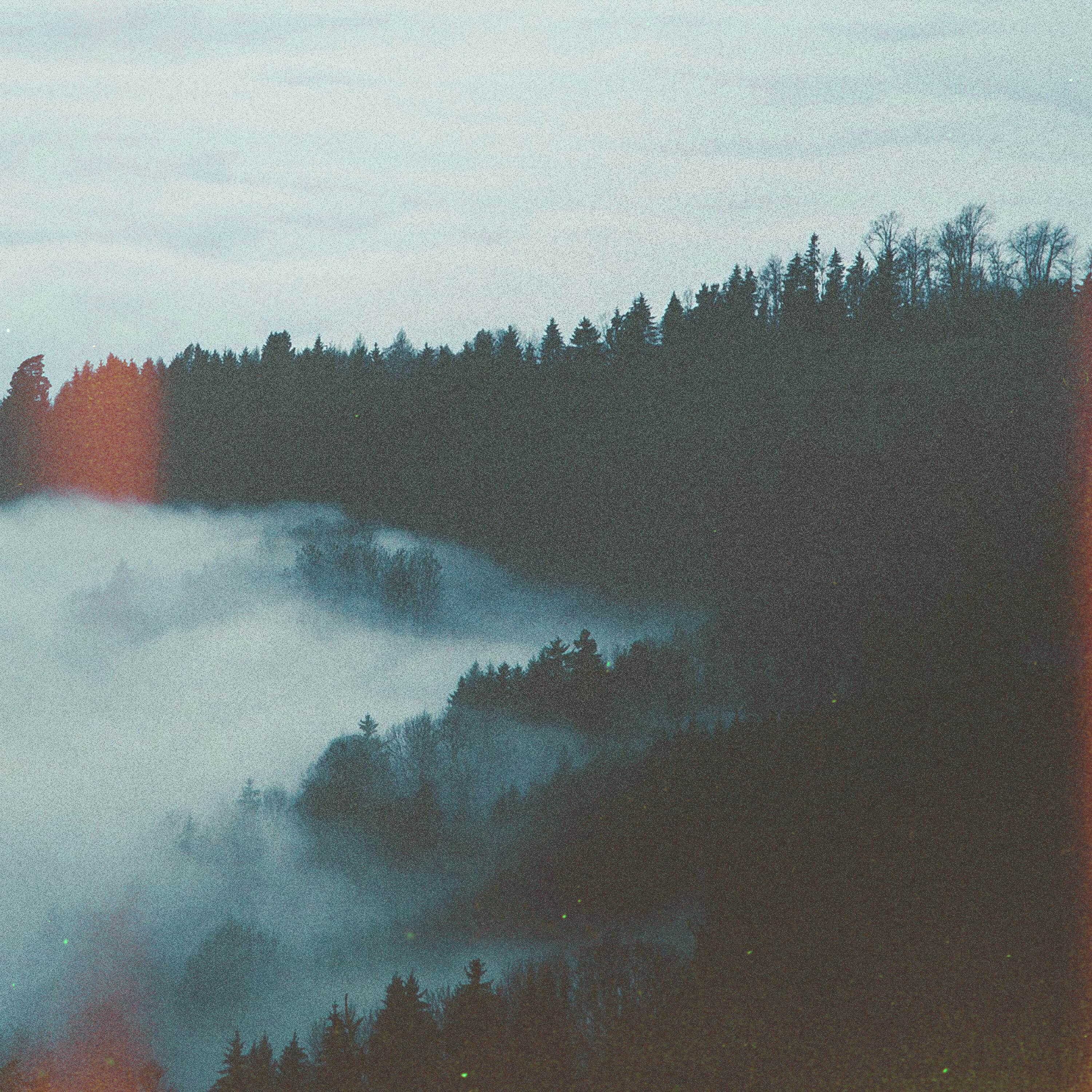 Релиз When It Rains