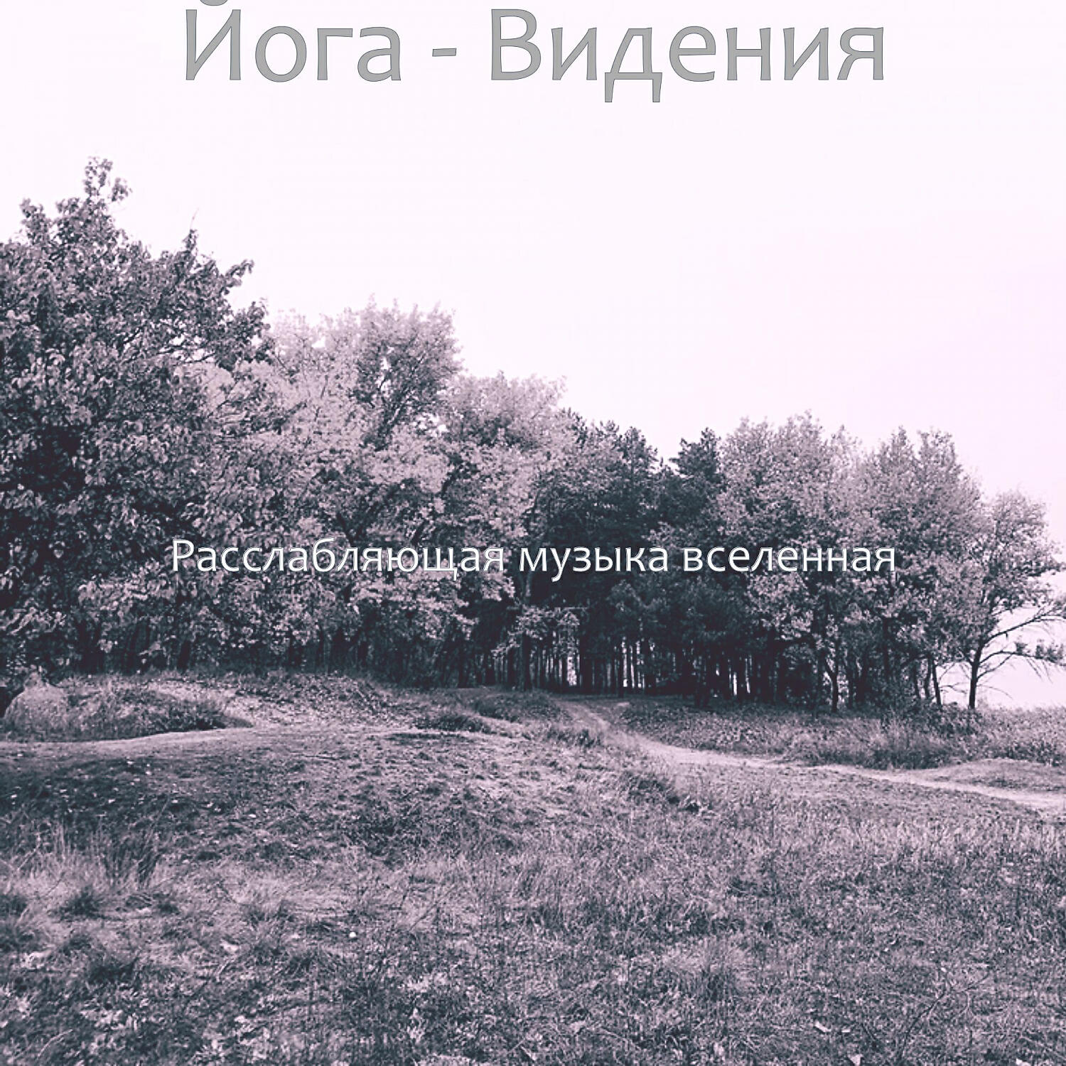 Релиз Йога - Видения