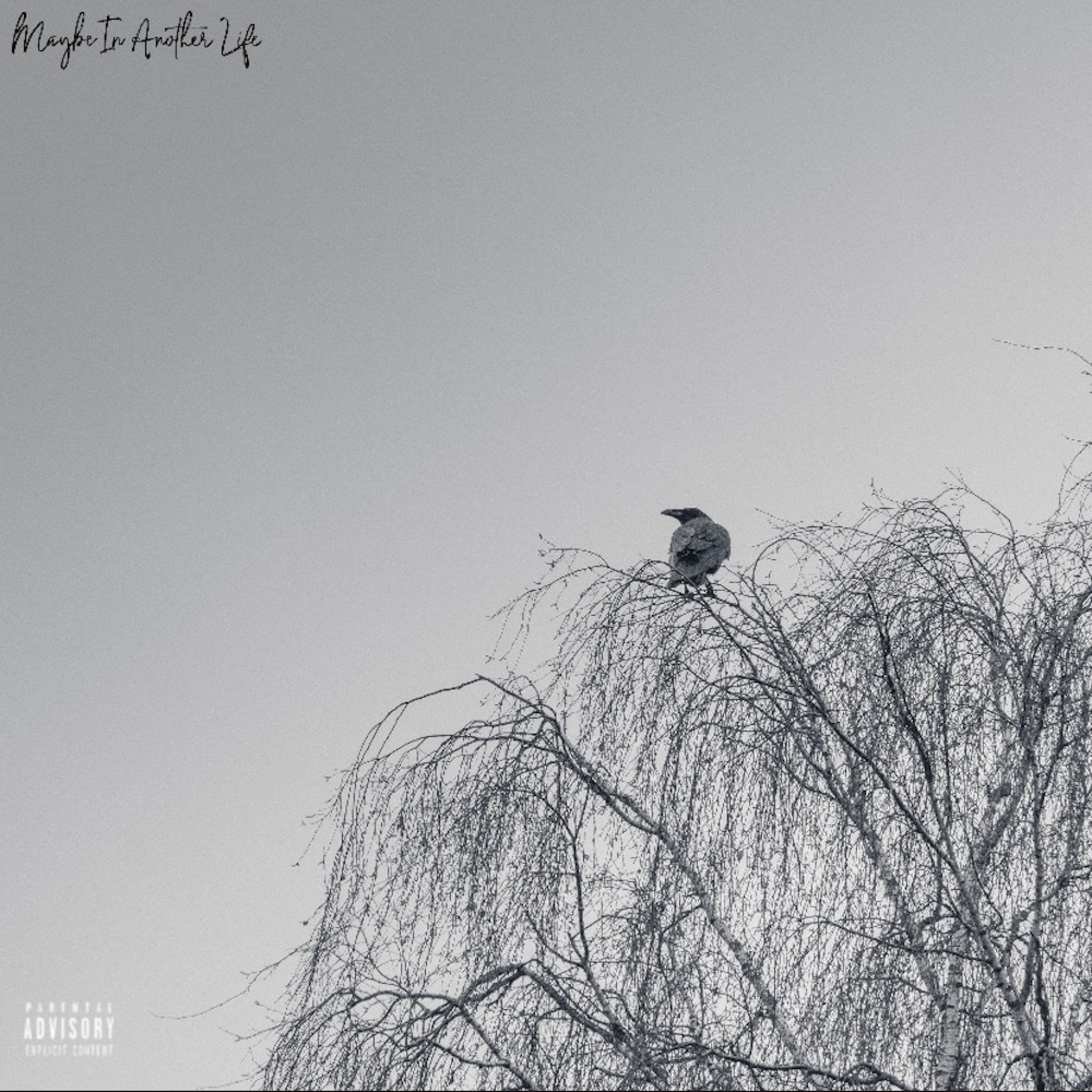 Релиз Maybe In Another Life