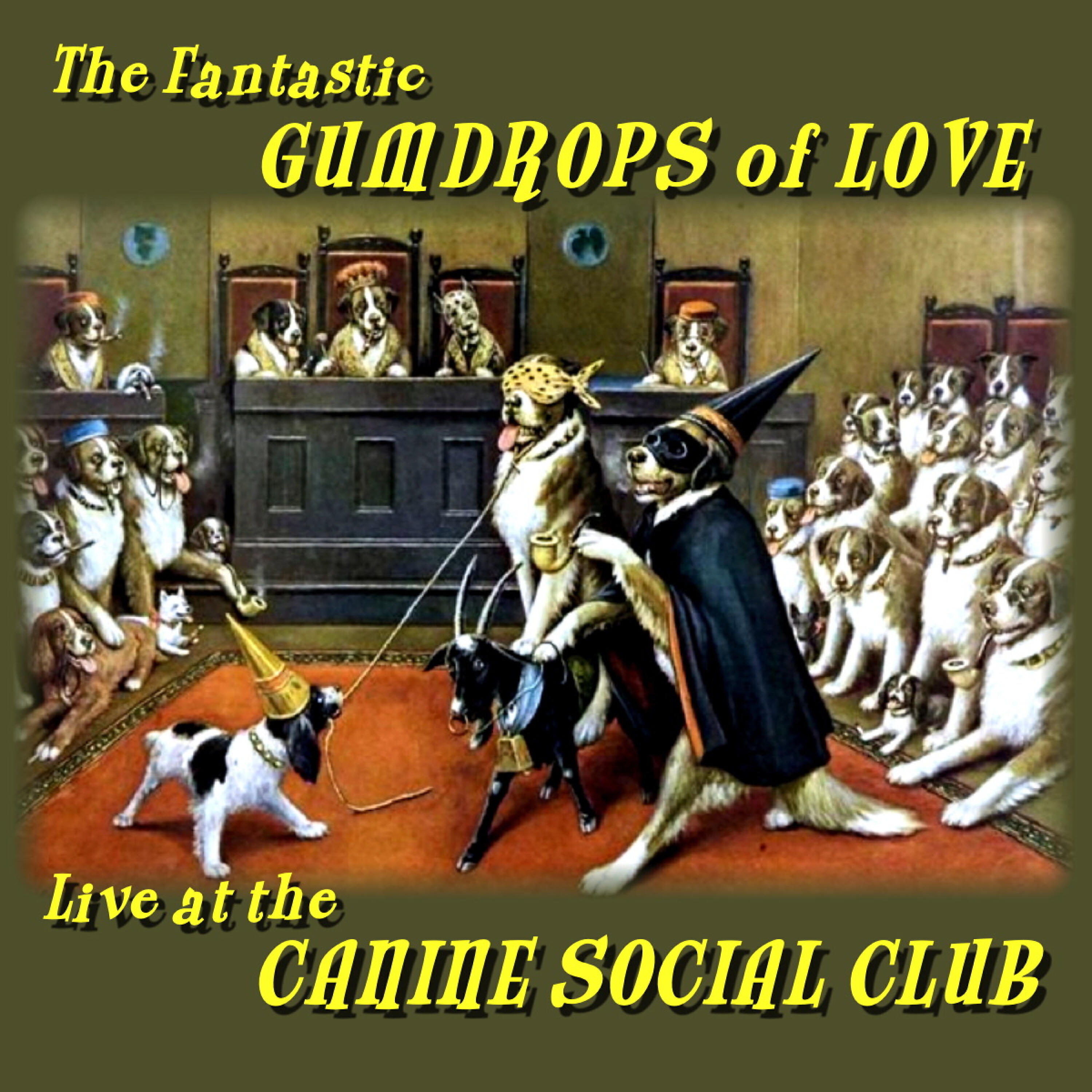 Релиз Live at the Canine Social Club