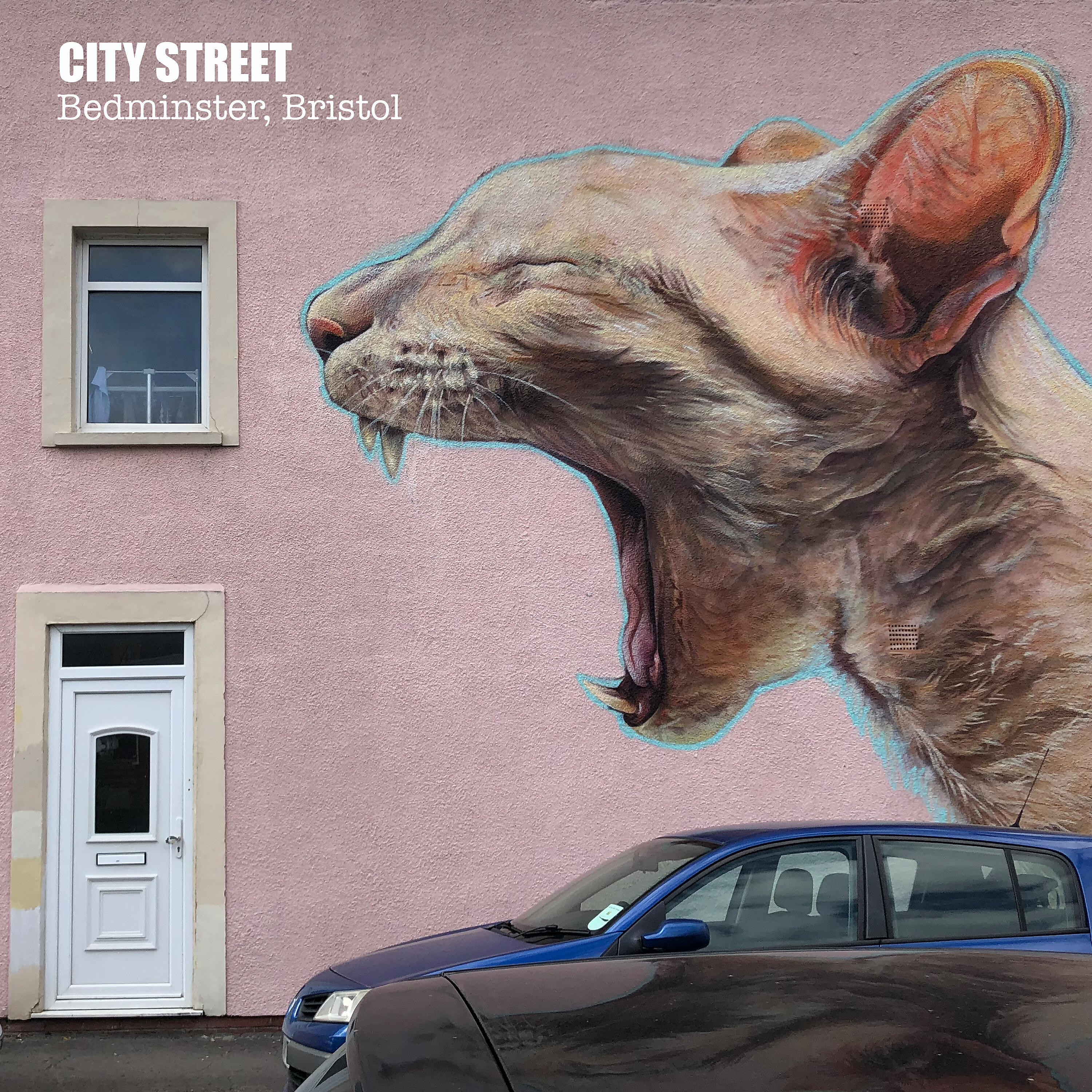 Релиз Bedminster, Bristol