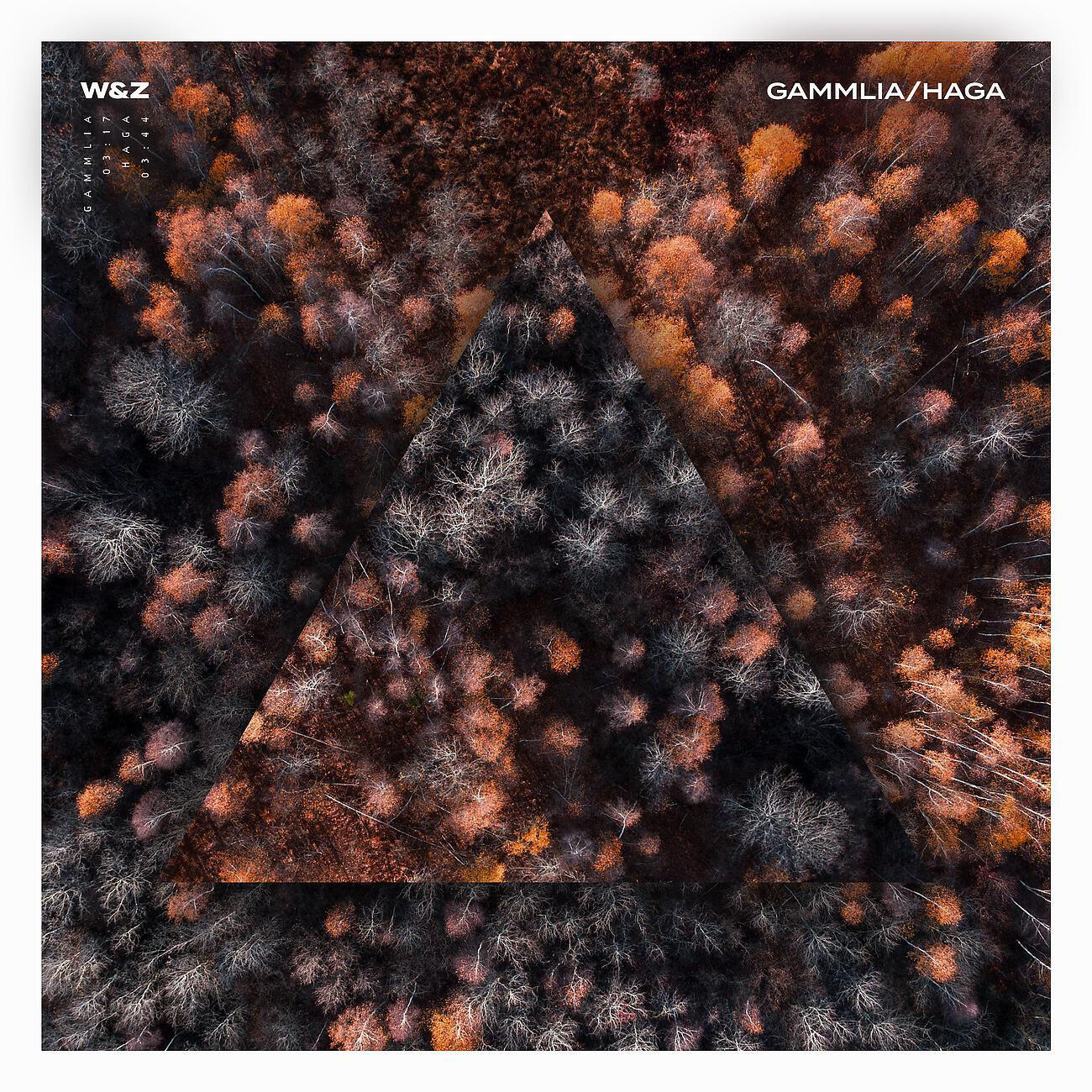 Релиз Gammlia / Haga