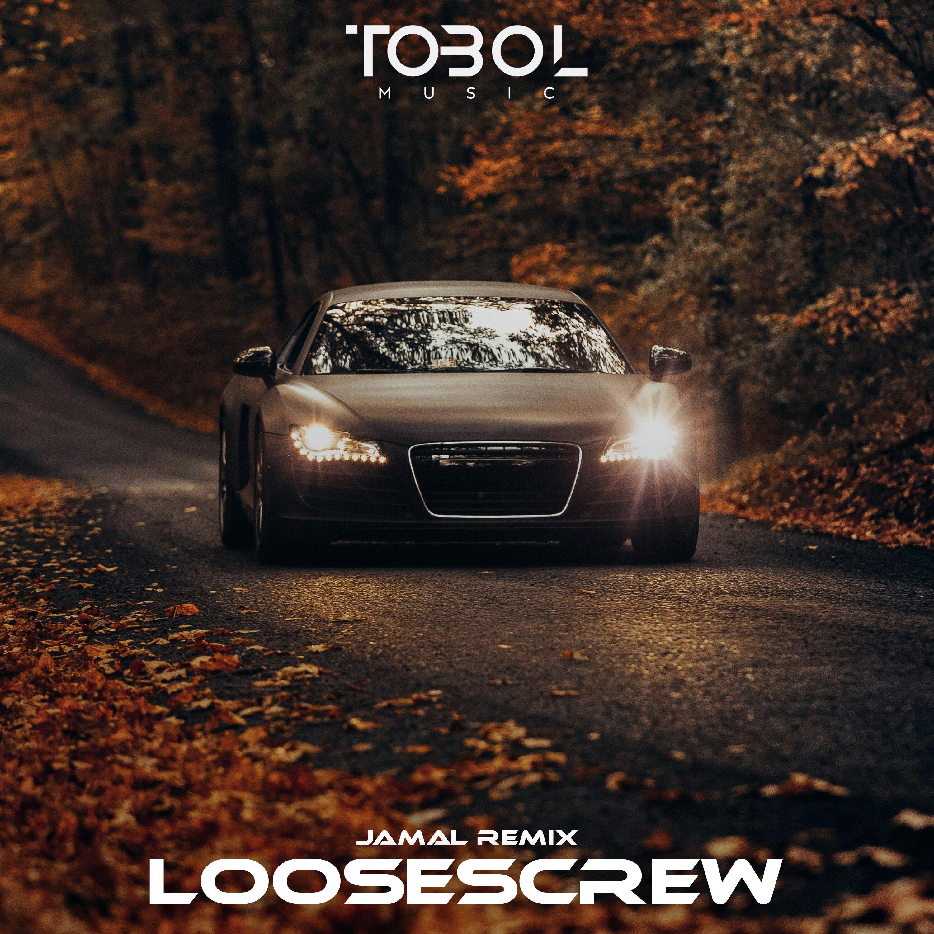 Релиз LooseScrew