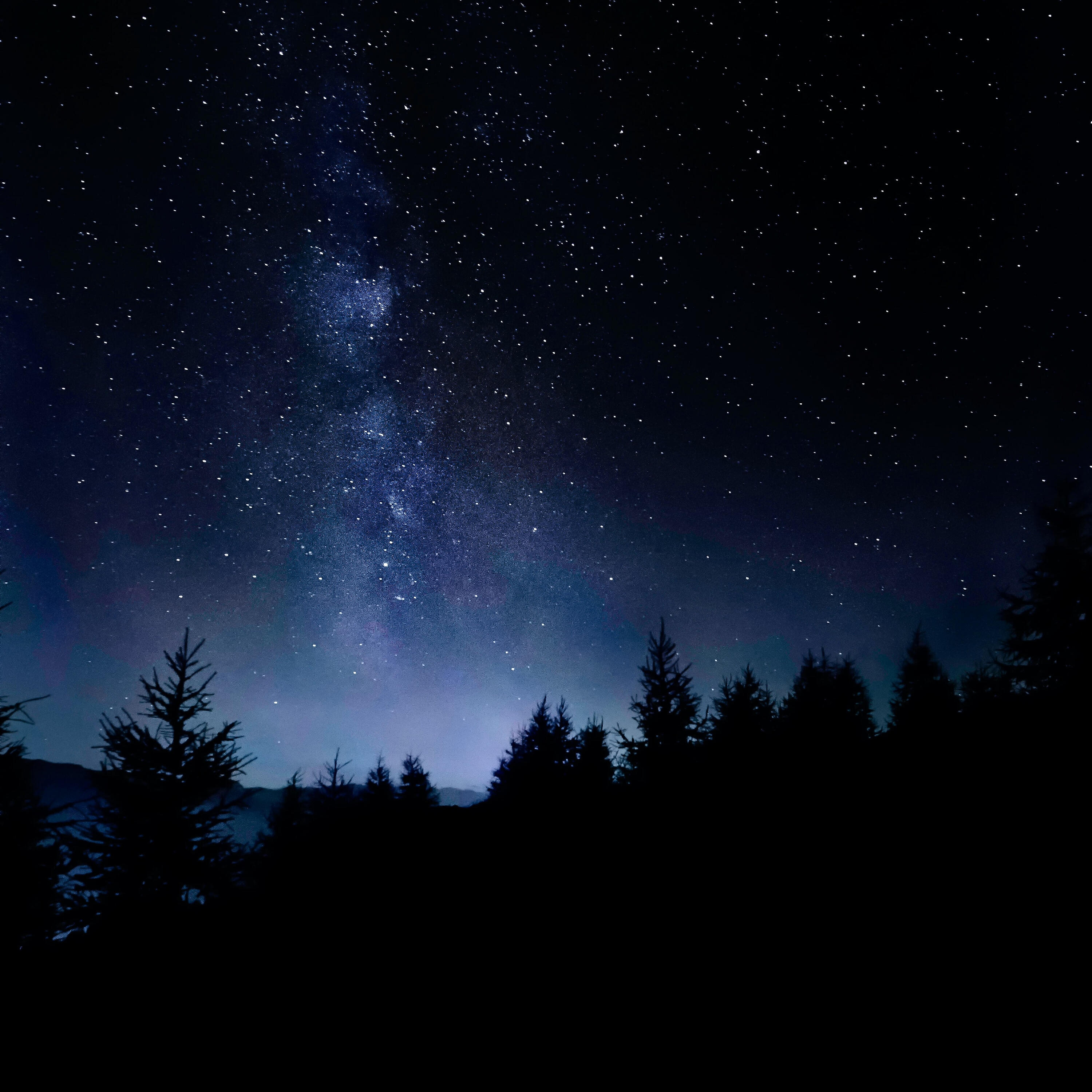 Постер альбома Night