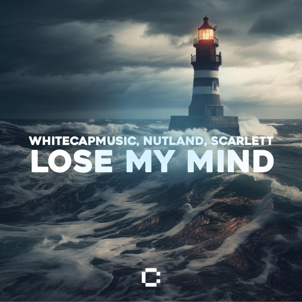 Постер альбома Lose My Mind