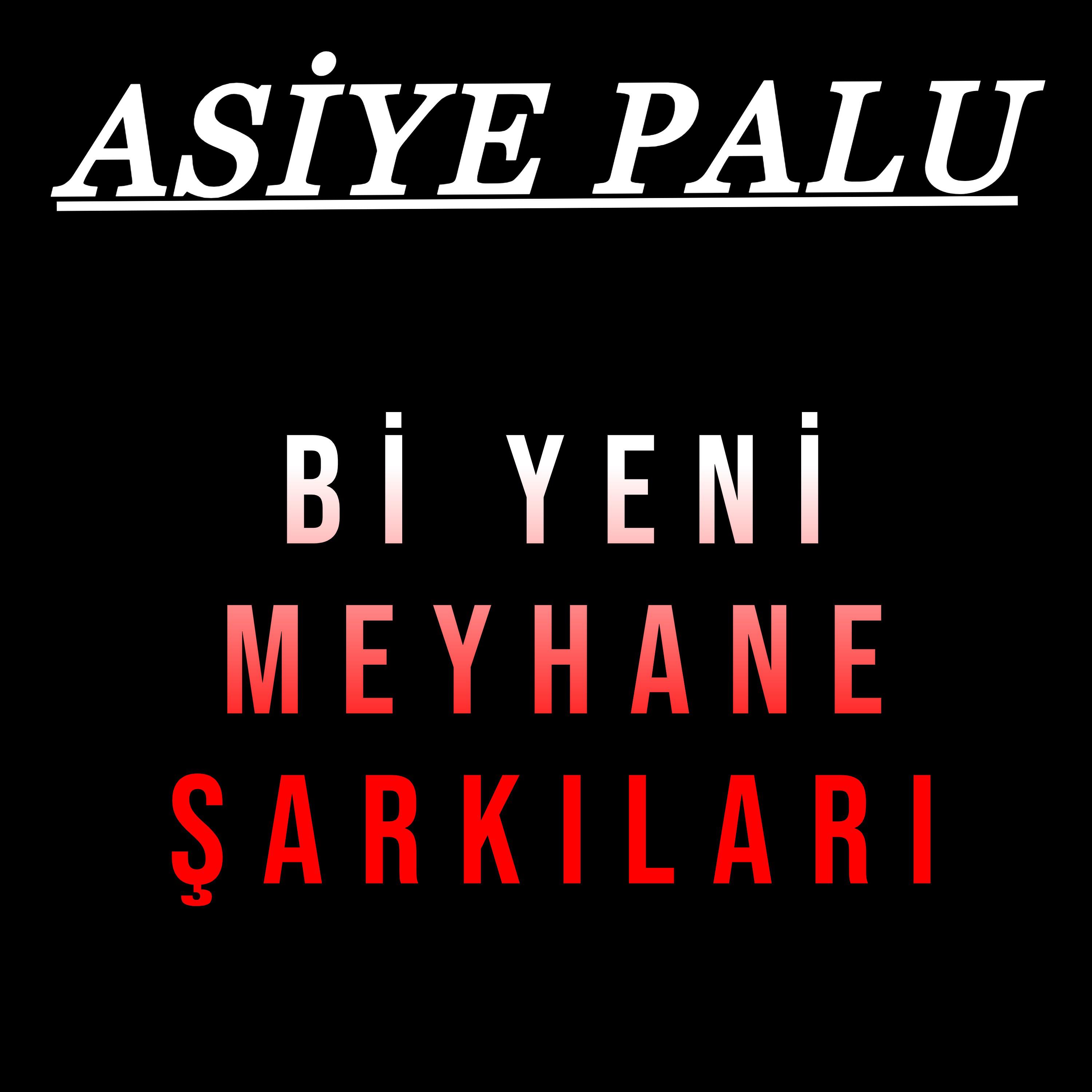 Asiye Palu
