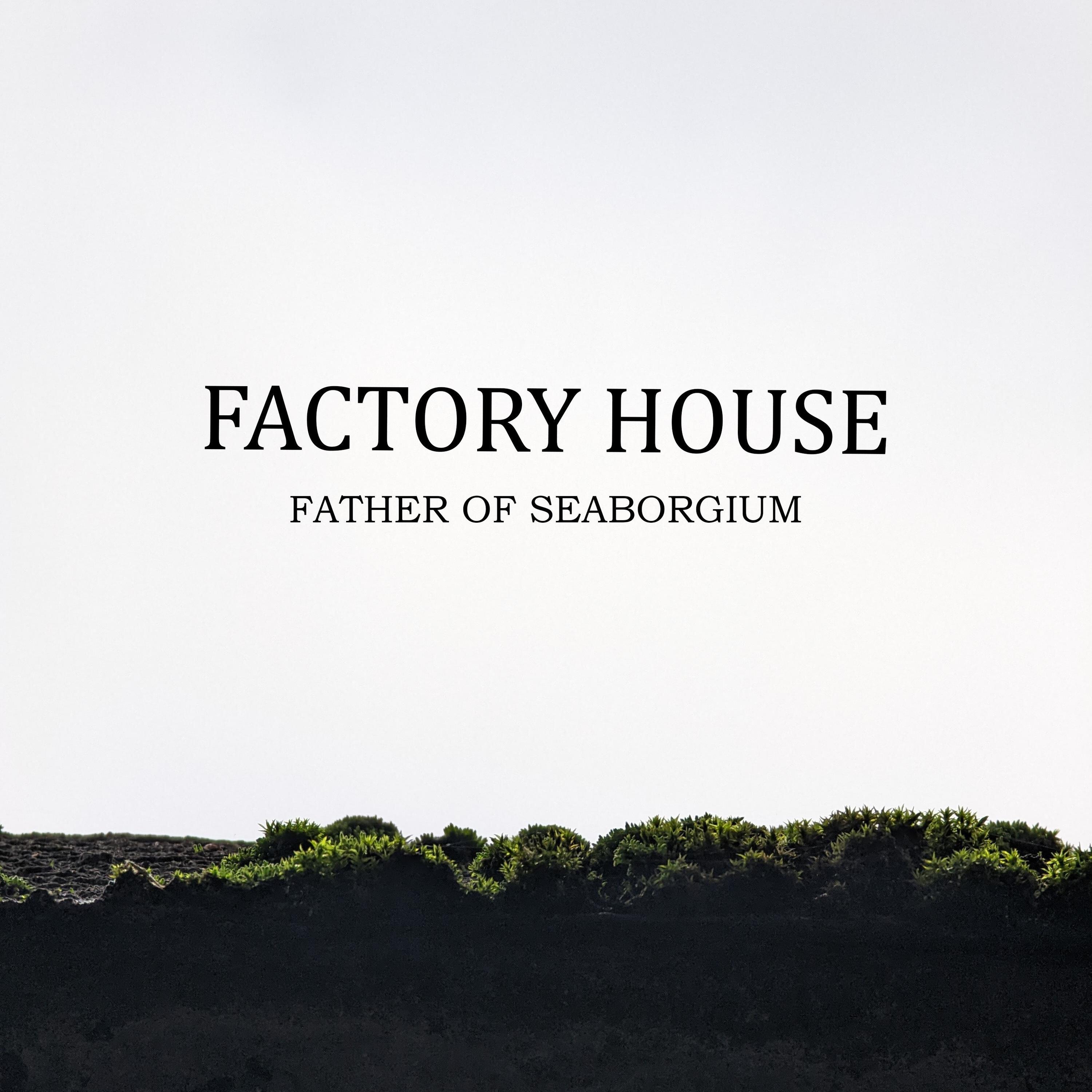 Релиз FACTORY HOUSE